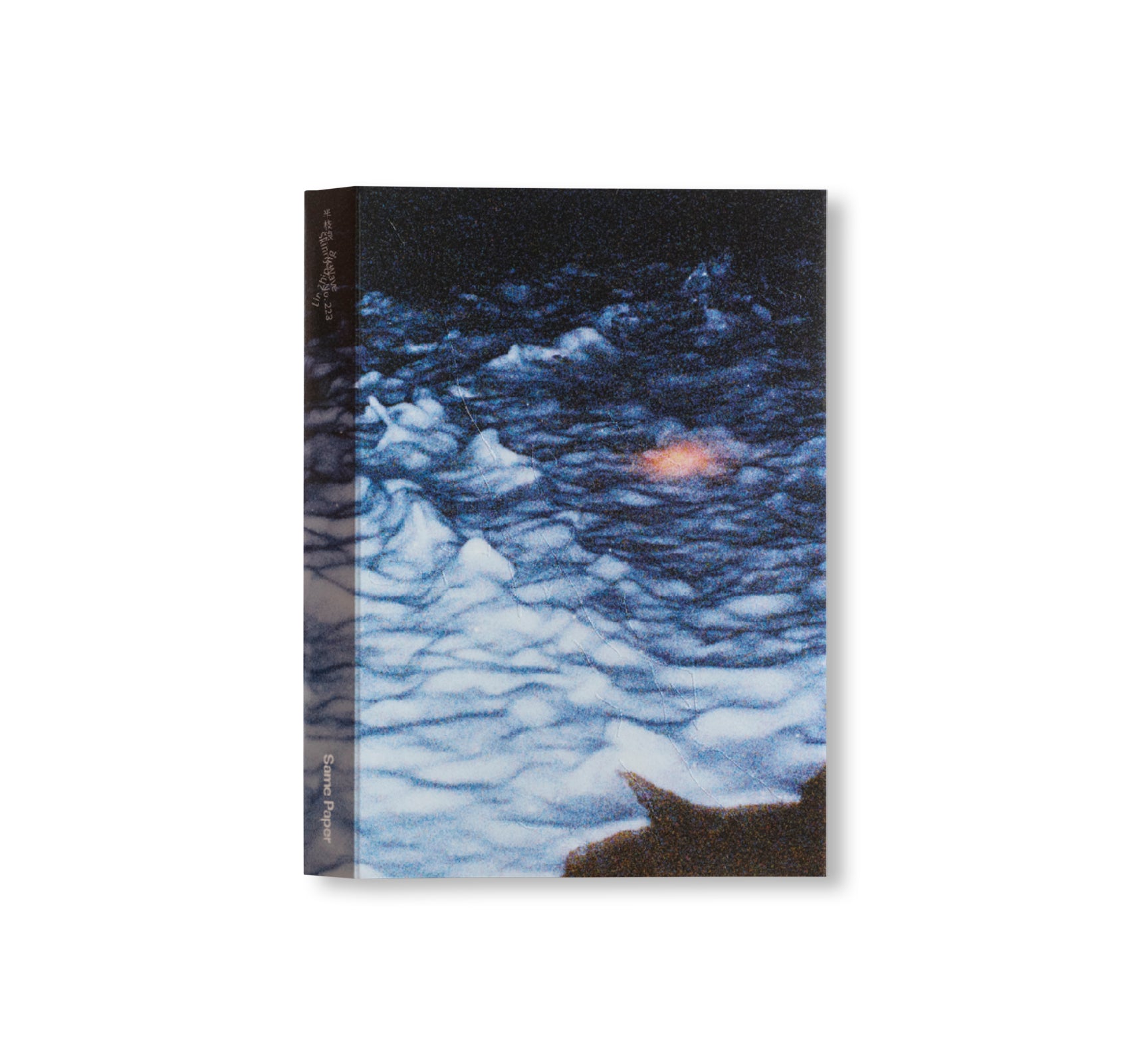 半枝浪 SKINNY WAVE by Lin Zhipeng [REGULAR COVER / SIGNED]