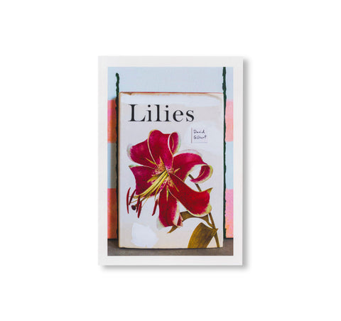 LILIES by David Gilbert