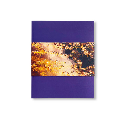 GATES TO THE GARDEN by Adam Kremer