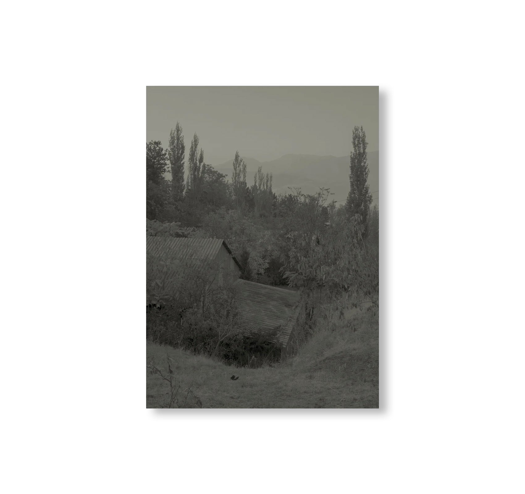 ONE HEAD AND THOUSAND YEARS by Hassan Kurbanbaev