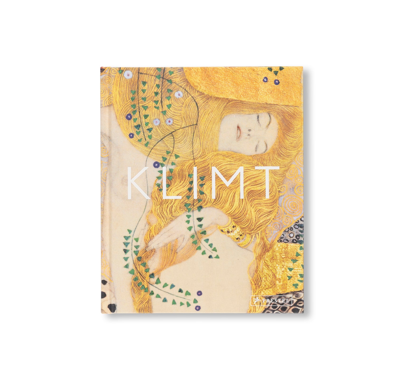 KLIMT - THE BIGGER PICTURE by Philippe Thiébaut