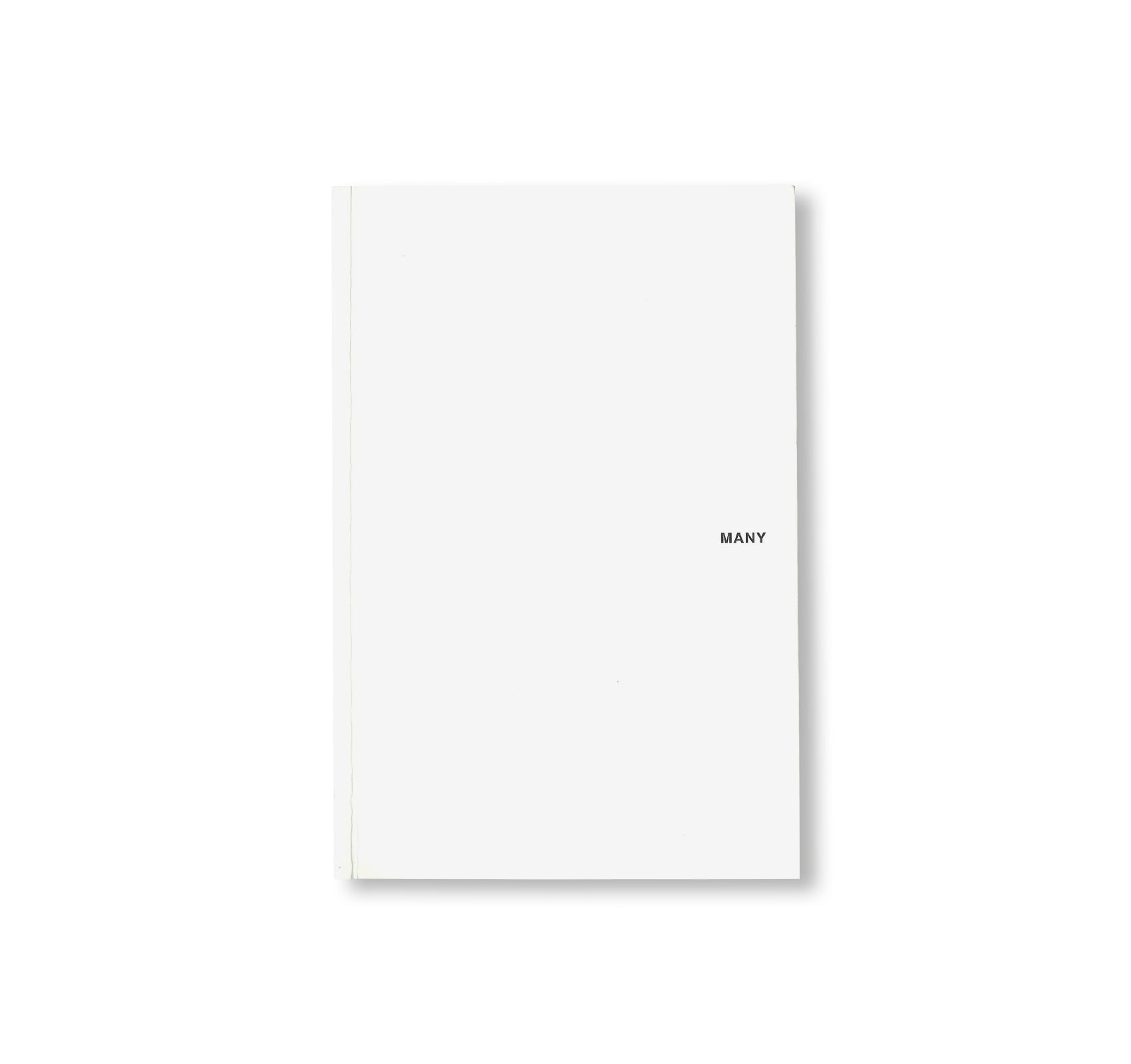 MANY by Peter Downsbrough