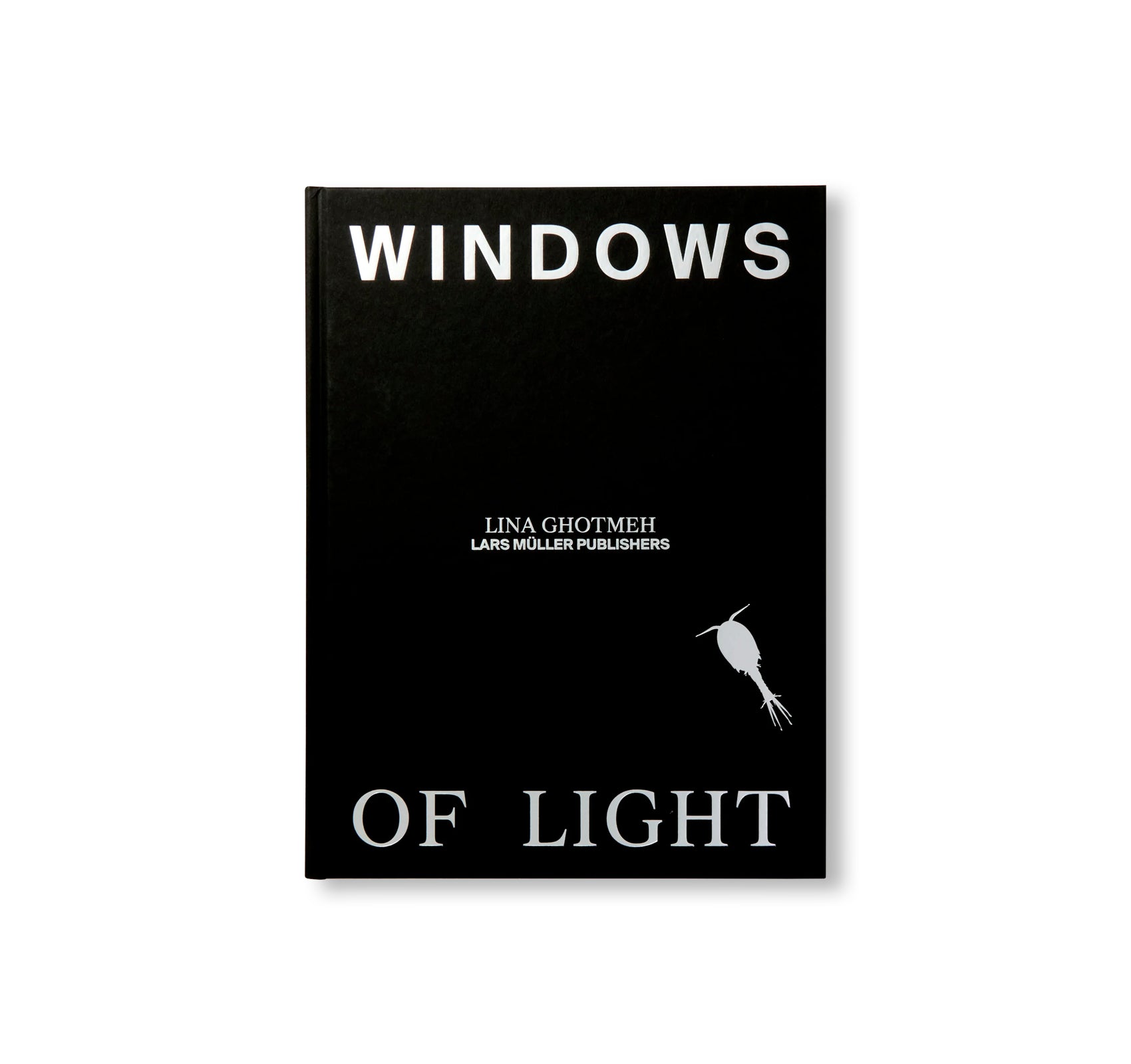WINDOWS OF LIGHT by Lina Ghotmeh