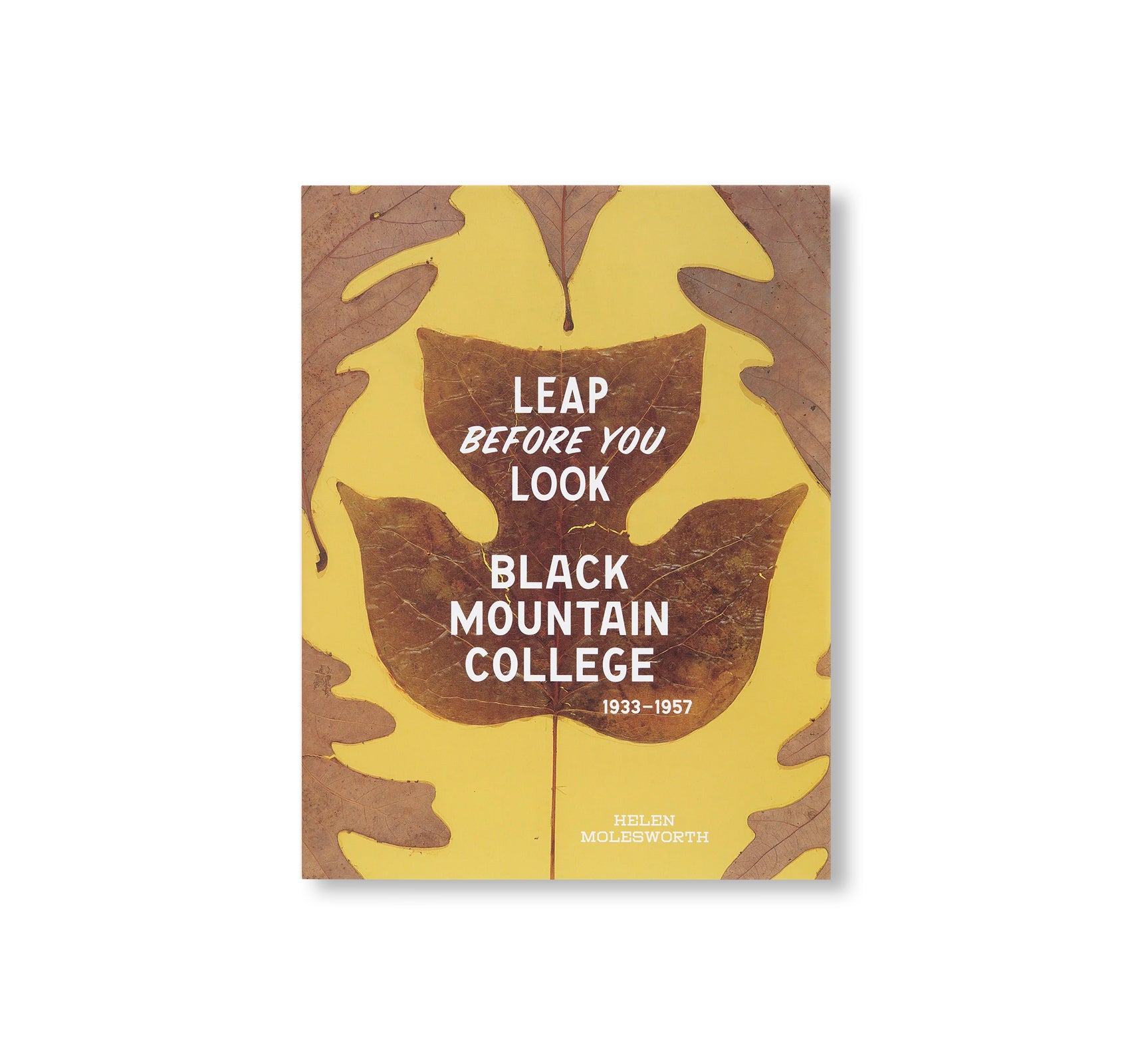 LEAP BEFORE YOU LOOK by Helen Molesworth