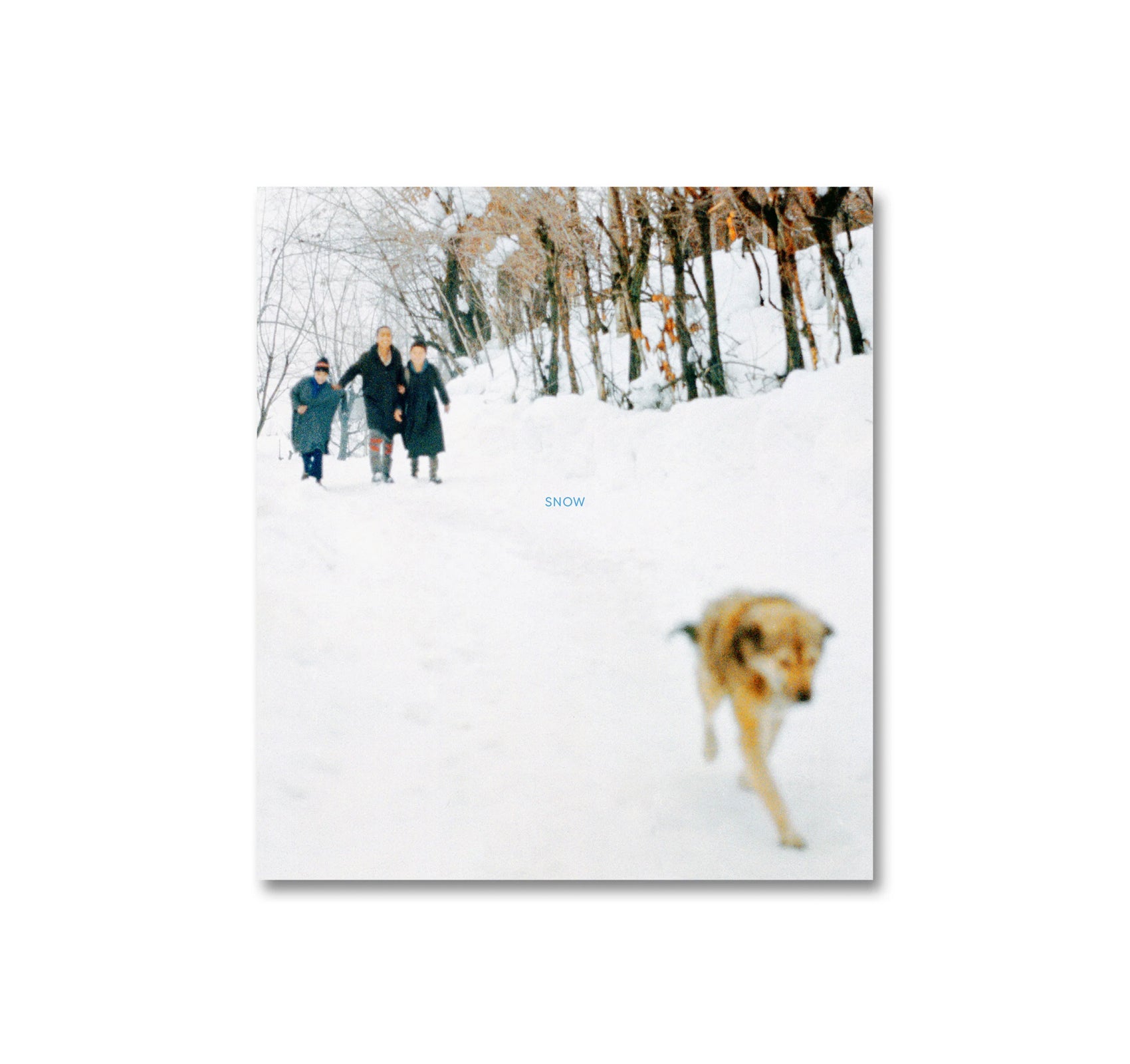 SNOW by Sohrab Hura
