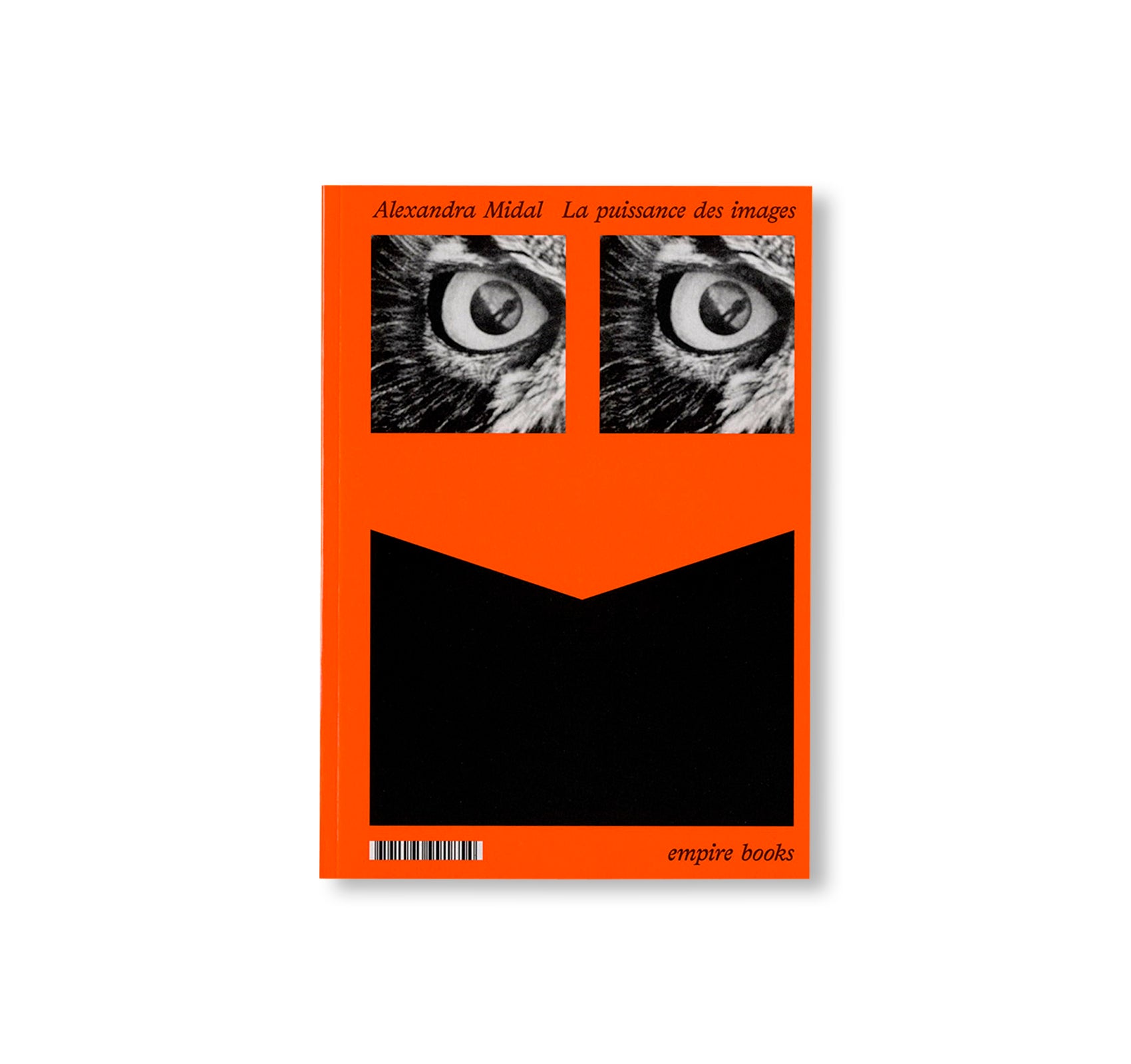 LA PUISSANCE DES IMAGES by Alexandra Midal