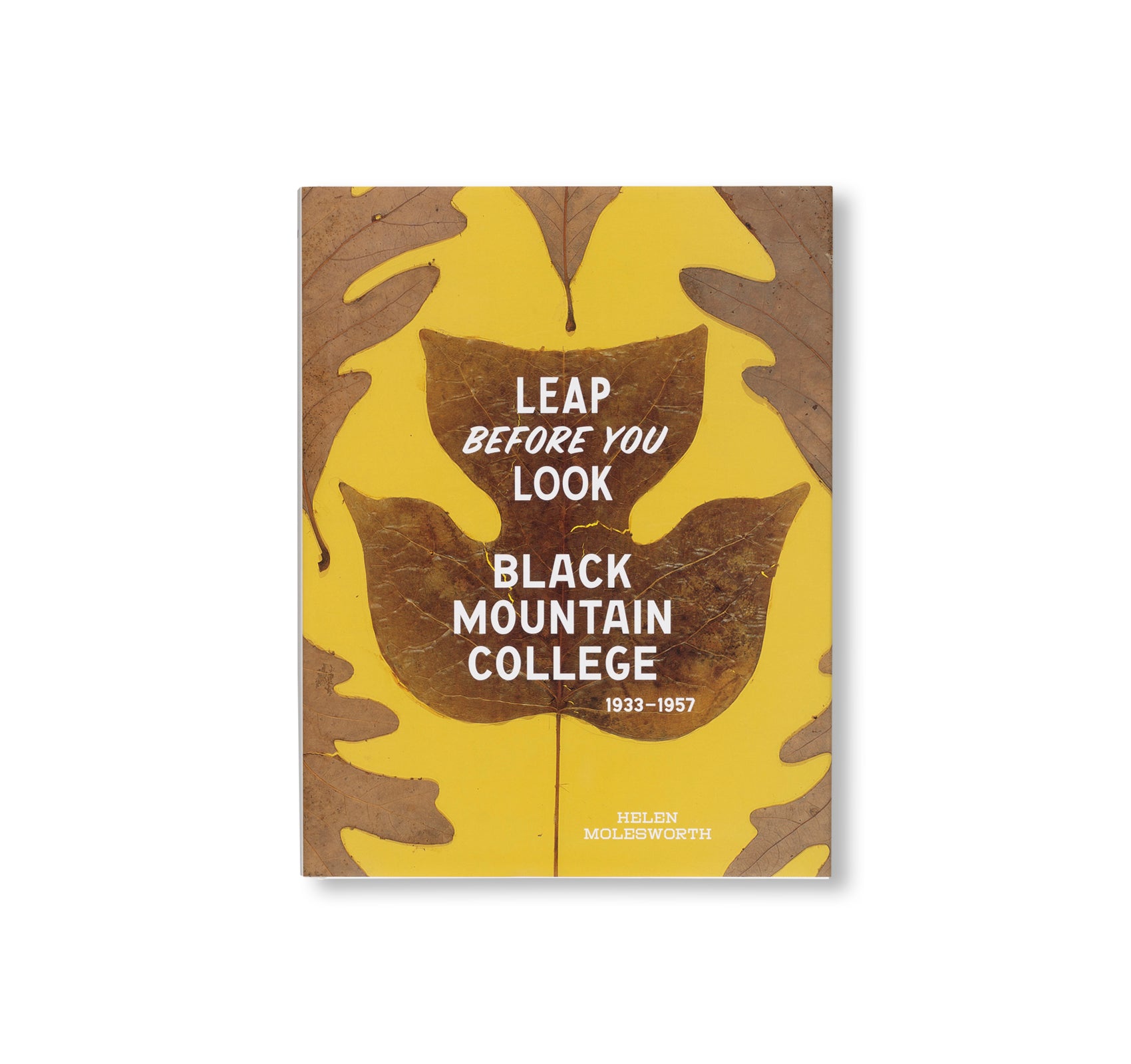 LEAP BEFORE YOU LOOK by Helen Molesworth