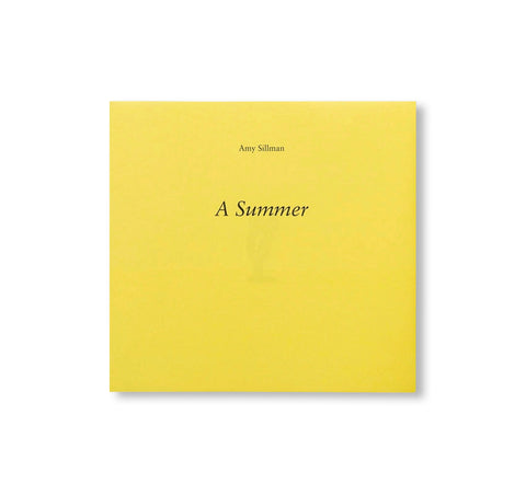 A SUMMER by Amy Sillman