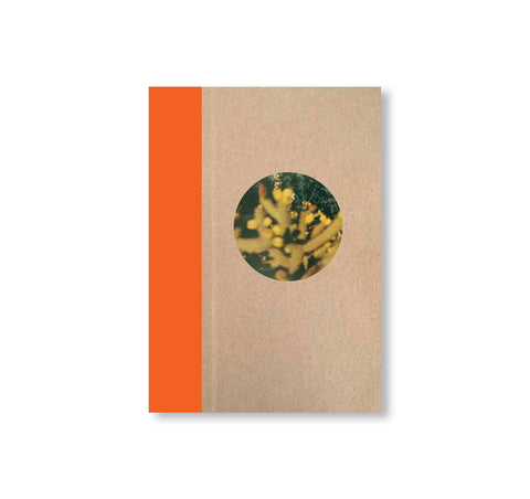 ONE PICTURE BOOK TWO #51: DESERT DAZE by Yoko Ikeda