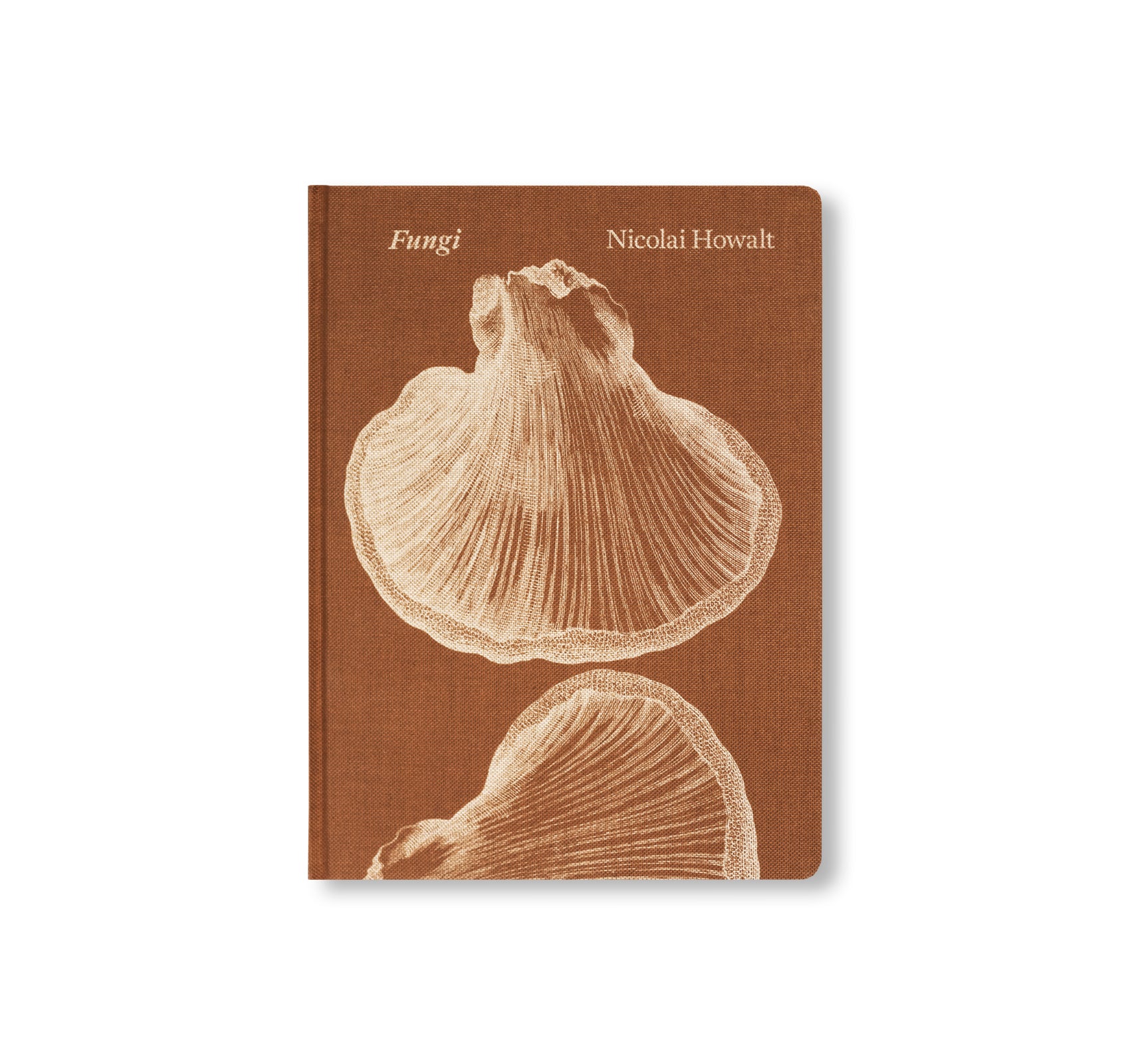 FUNGI by Nicolai Howalt