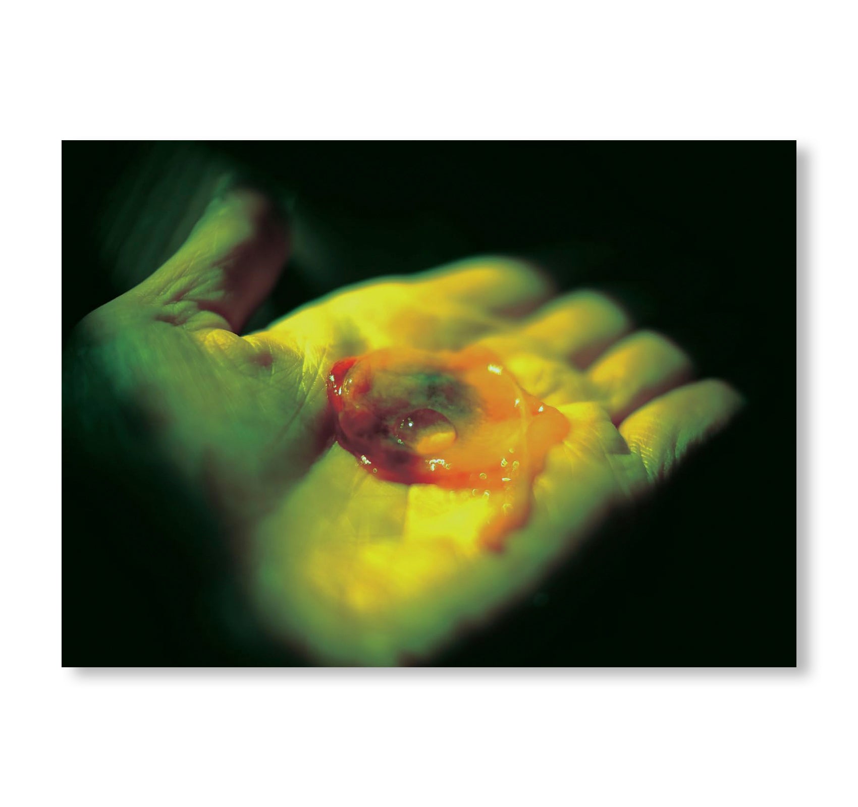 MY BLOODY HAND by Momo Okabe [SIGNED]