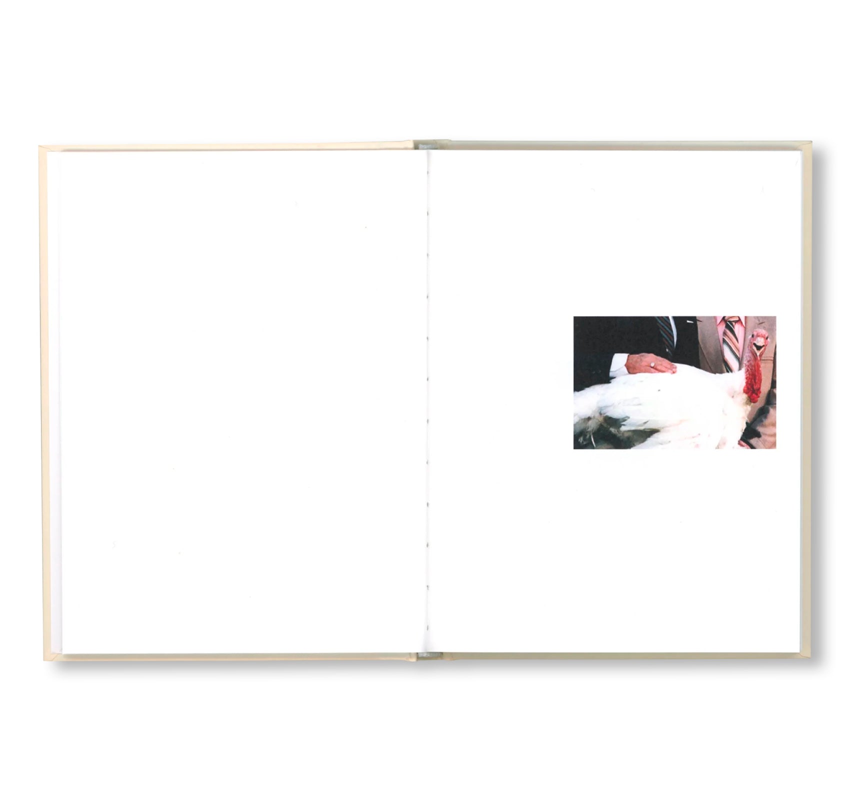 PARDON ME by Gardar Eide Einarsson