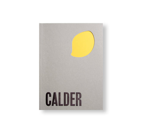 FROM THE STONY RIVER TO THE SKY by Alexander Calder