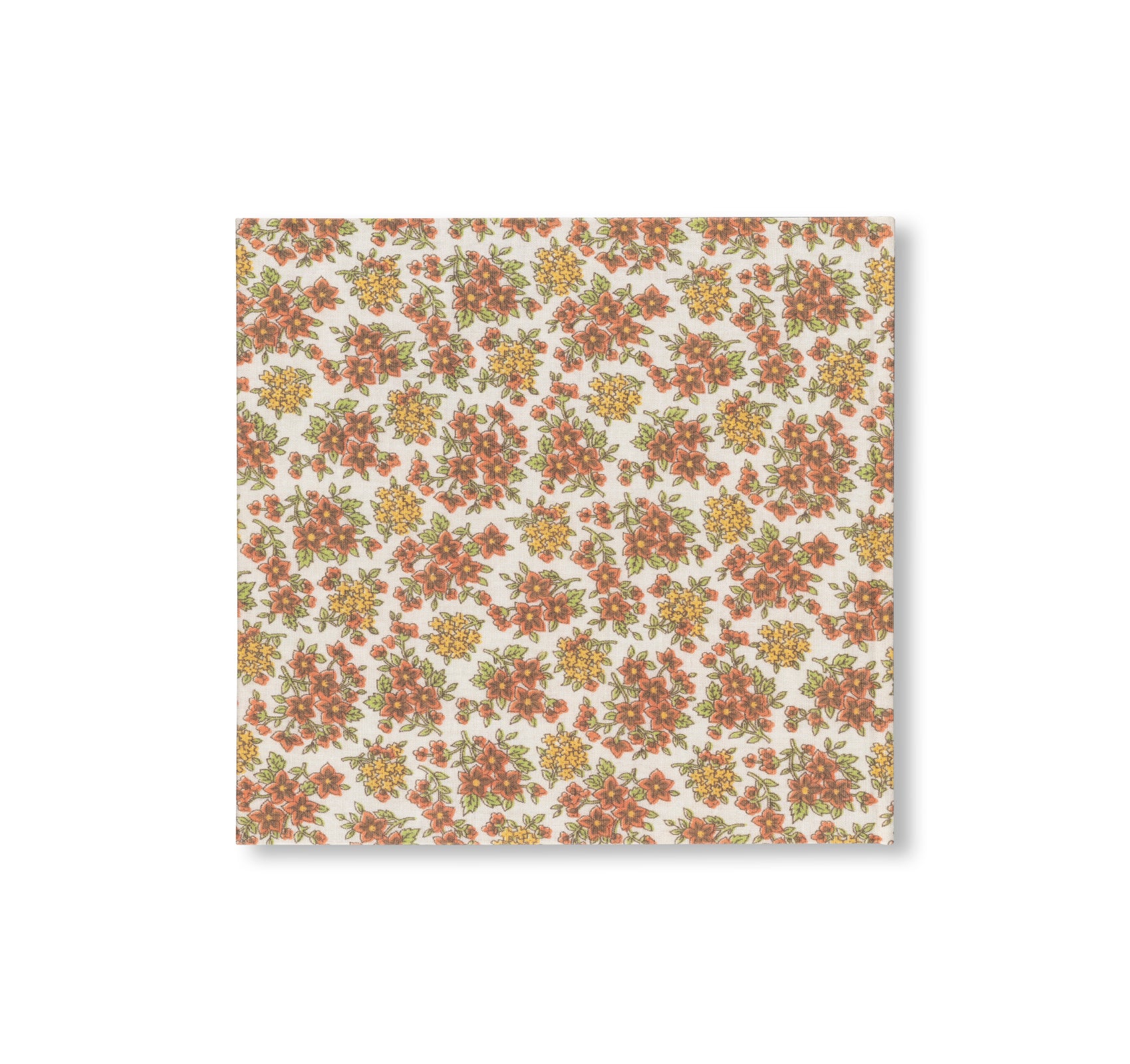 STONE SOUP by Eric Ruby