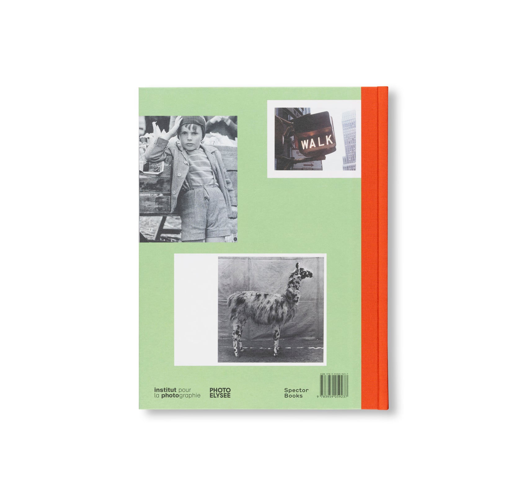L IS FOR LOOK - CHILDREN’S PHOTOBOOKS