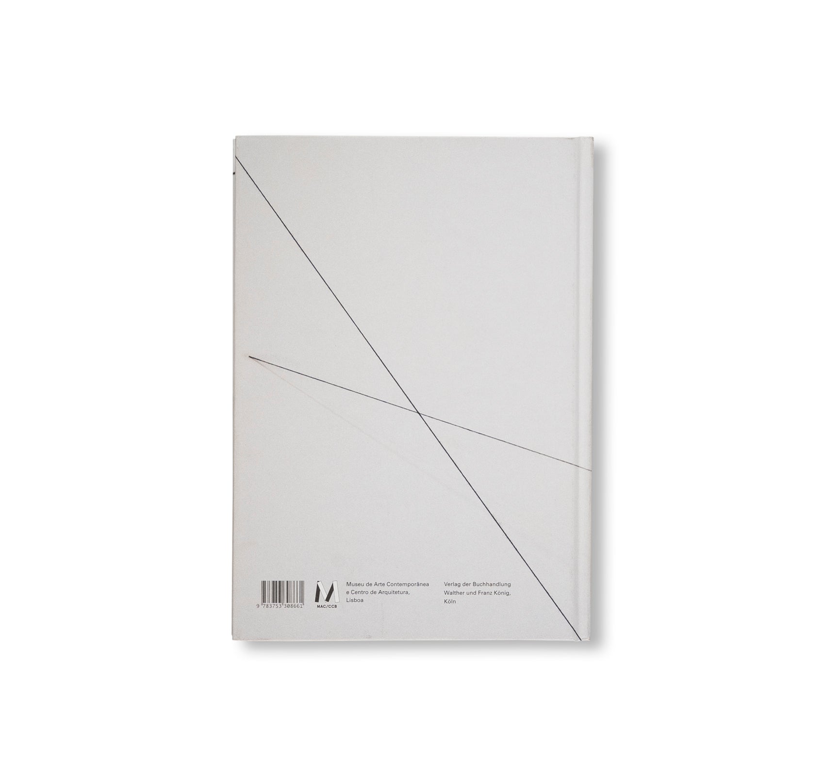 THREADING SPACE by Fred Sandback