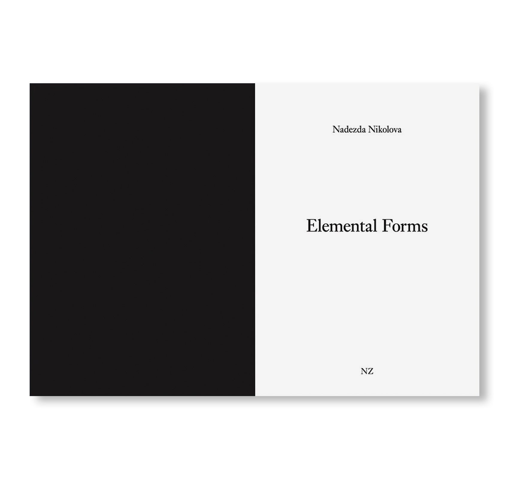 ONE PICTURE BOOK TWO #33: ELEMENTAL FORMS by Nadezda Nikolova