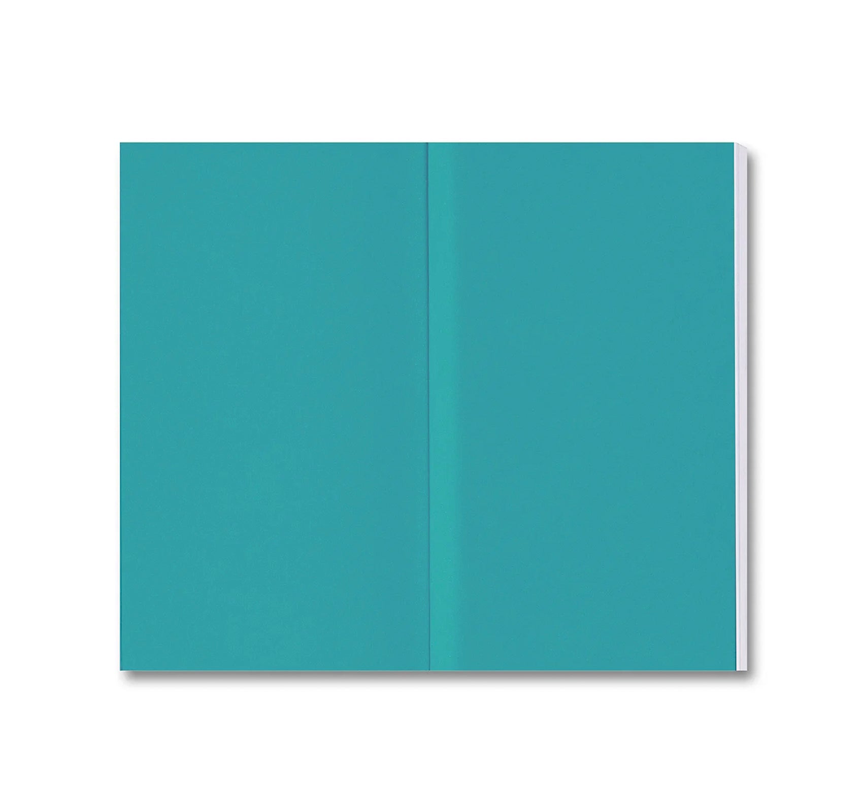 DONALD JUDD WRITINGS by Donald Judd