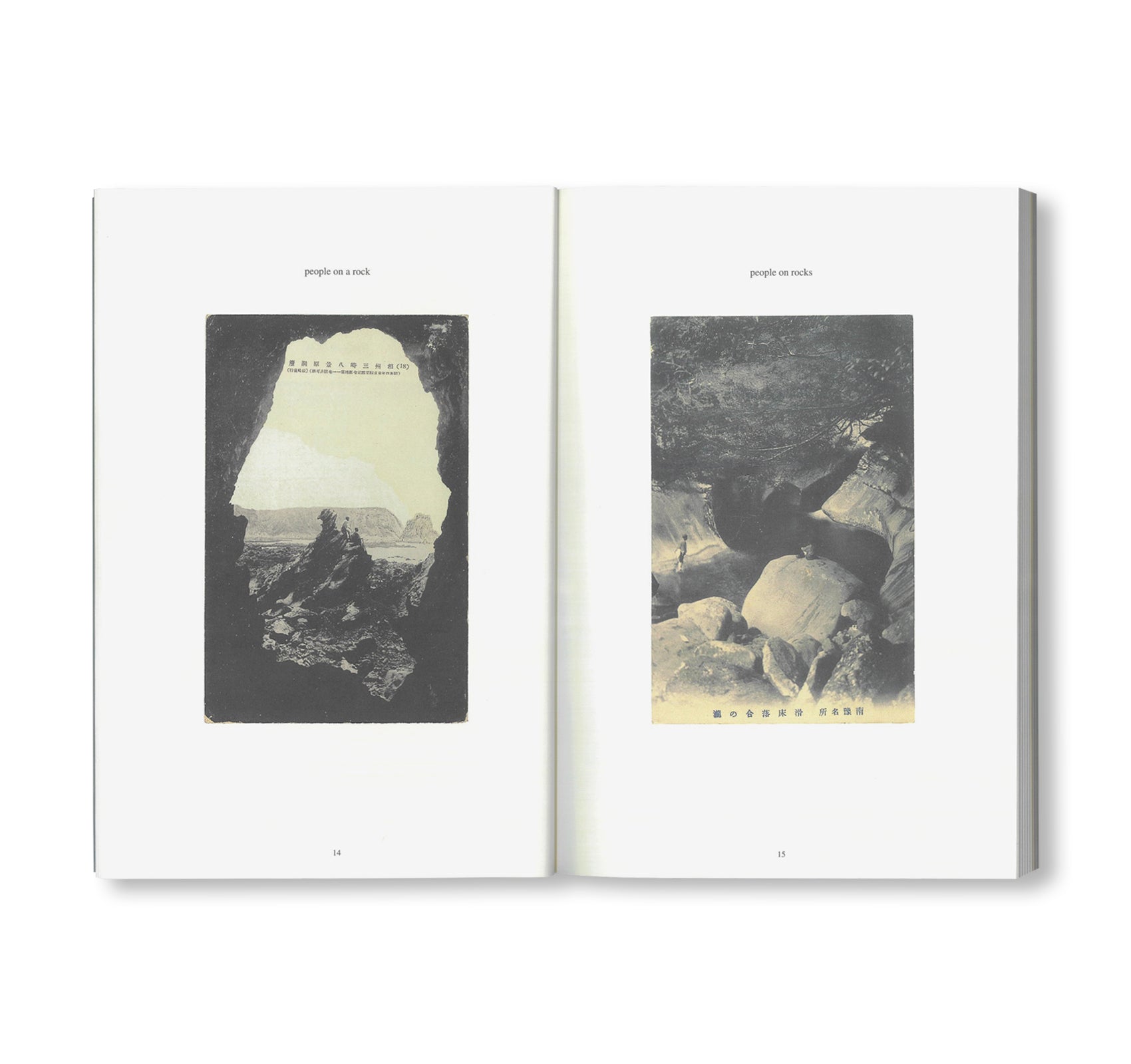 FONTAINEBLEAU IS IN FRANCE / フォンテーヌブローはフランスにある by Tacita Dean
