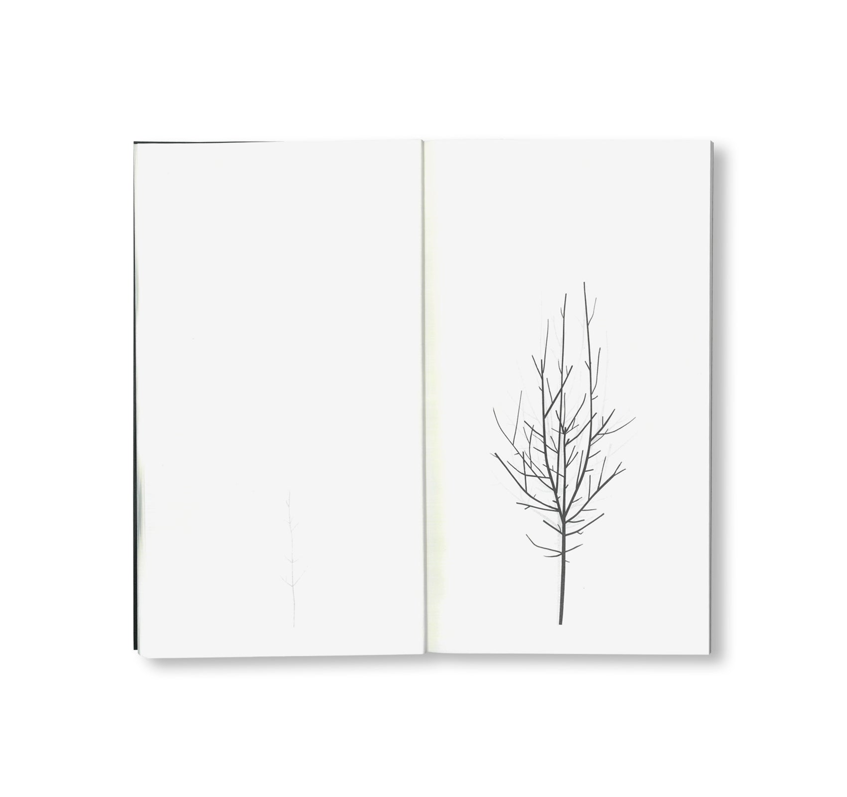 WINTER DRAWINGS by Peter Liversidge