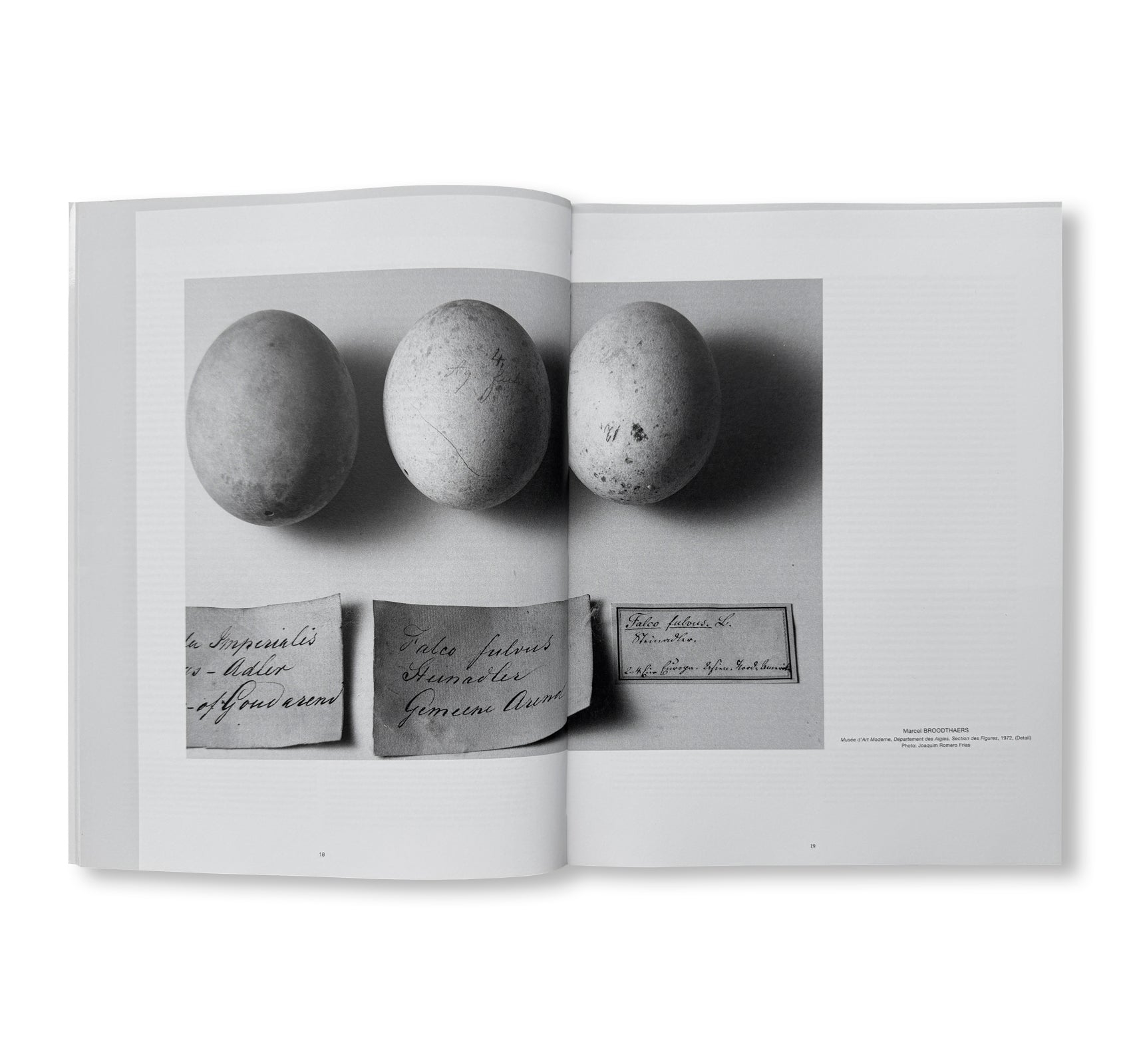MARCEL BROODTHAERS: TODAY: OF REAL PRESENCE by Marcel Broodthaers