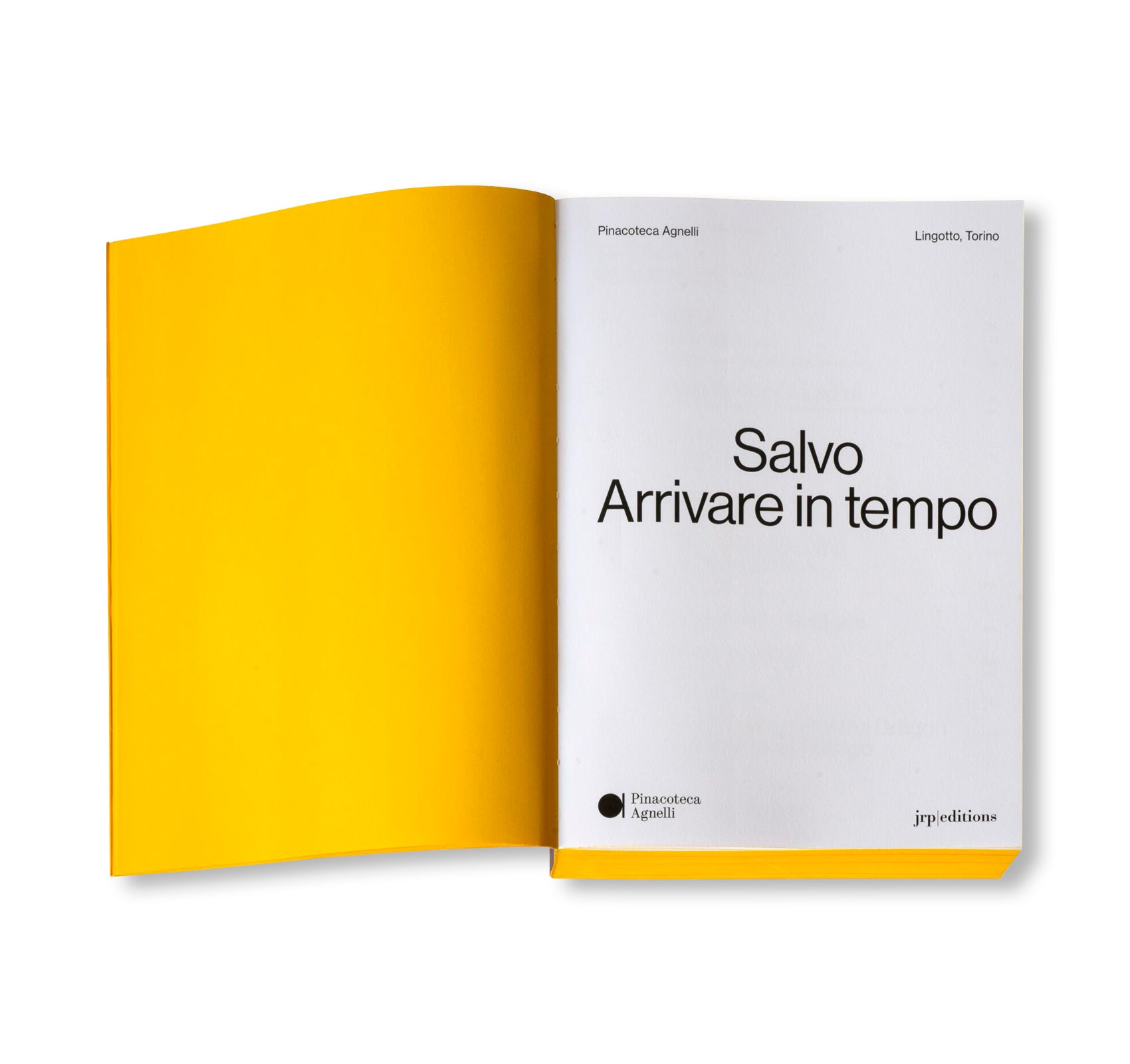 SALVO: ARRIVING ON TIME by Salvatore Mangione (Salvo)