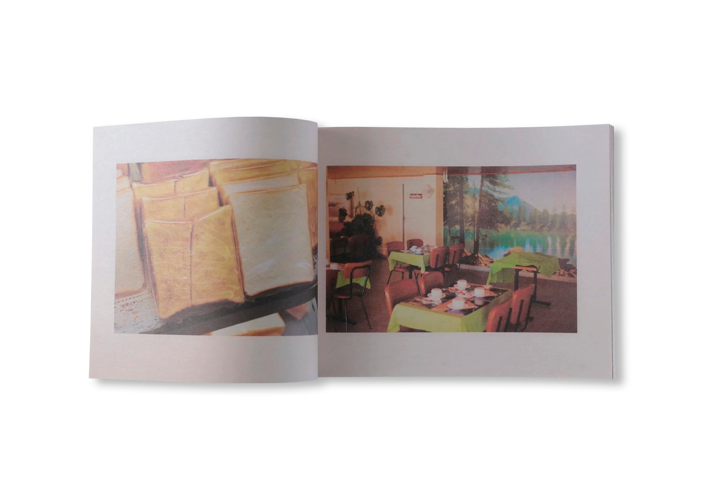 WALDEN; OR, LIFE IN THE WOODS, ARCHIVE 1993-2024, VOL. 2 by Peter Funch