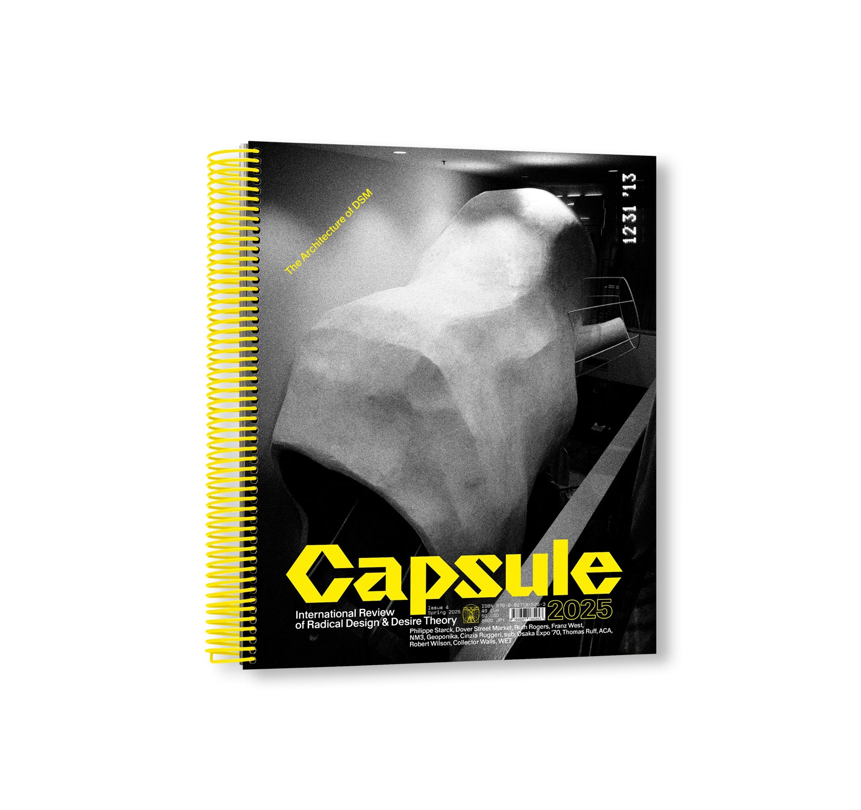 CAPSULE ISSUE 4 – THE ARCHITECTURE OF DSM