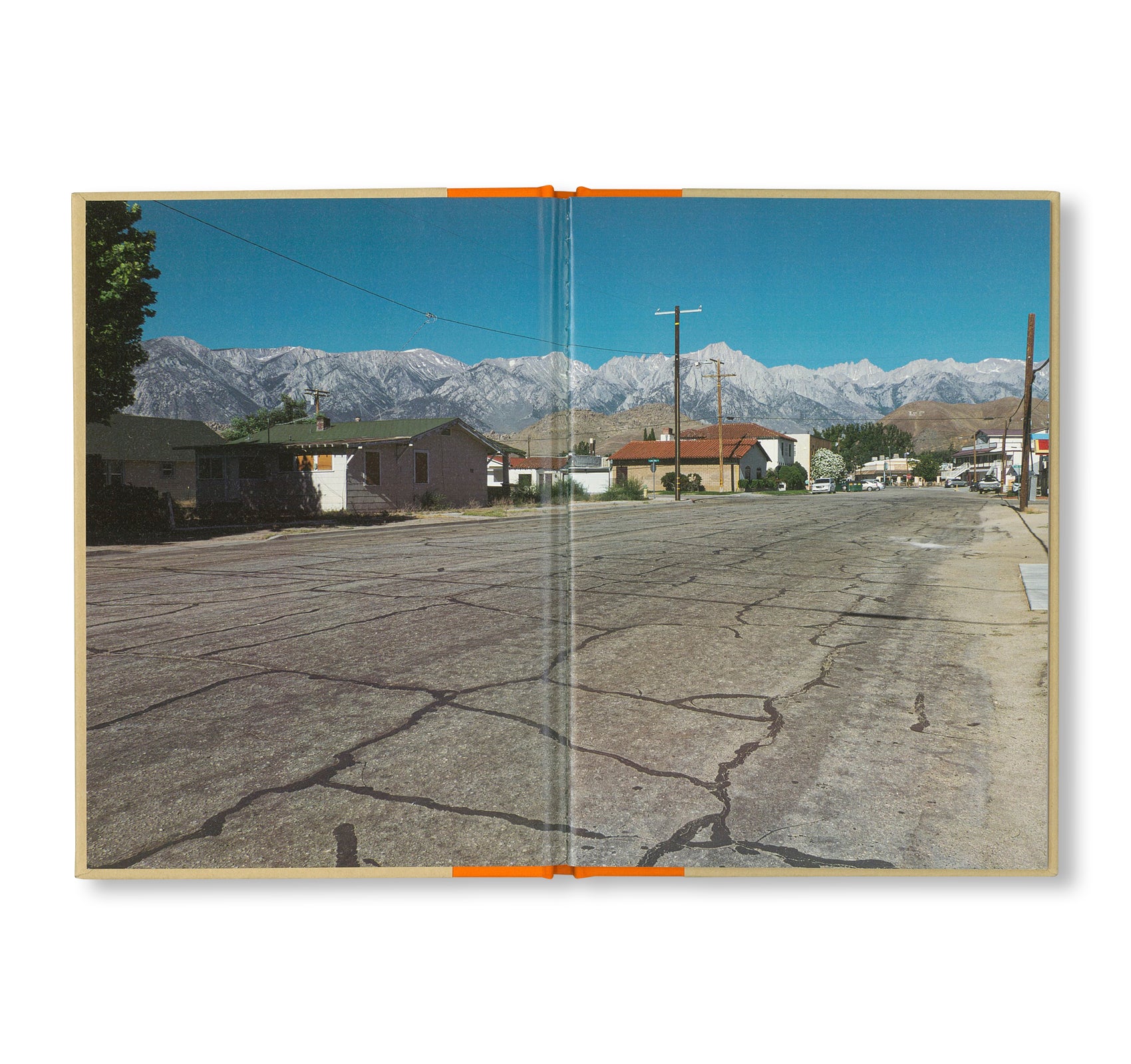 ONE PICTURE BOOK TWO #52: LONE PINE by Toshio Shibata