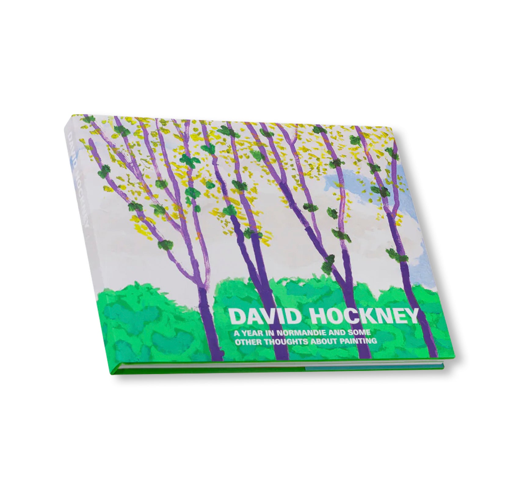 DAVID HOCKNEY: A YEAR IN NORMANDIE AND SOME OTHER THOUGHTS ABOUT PAINTING by David Hockney