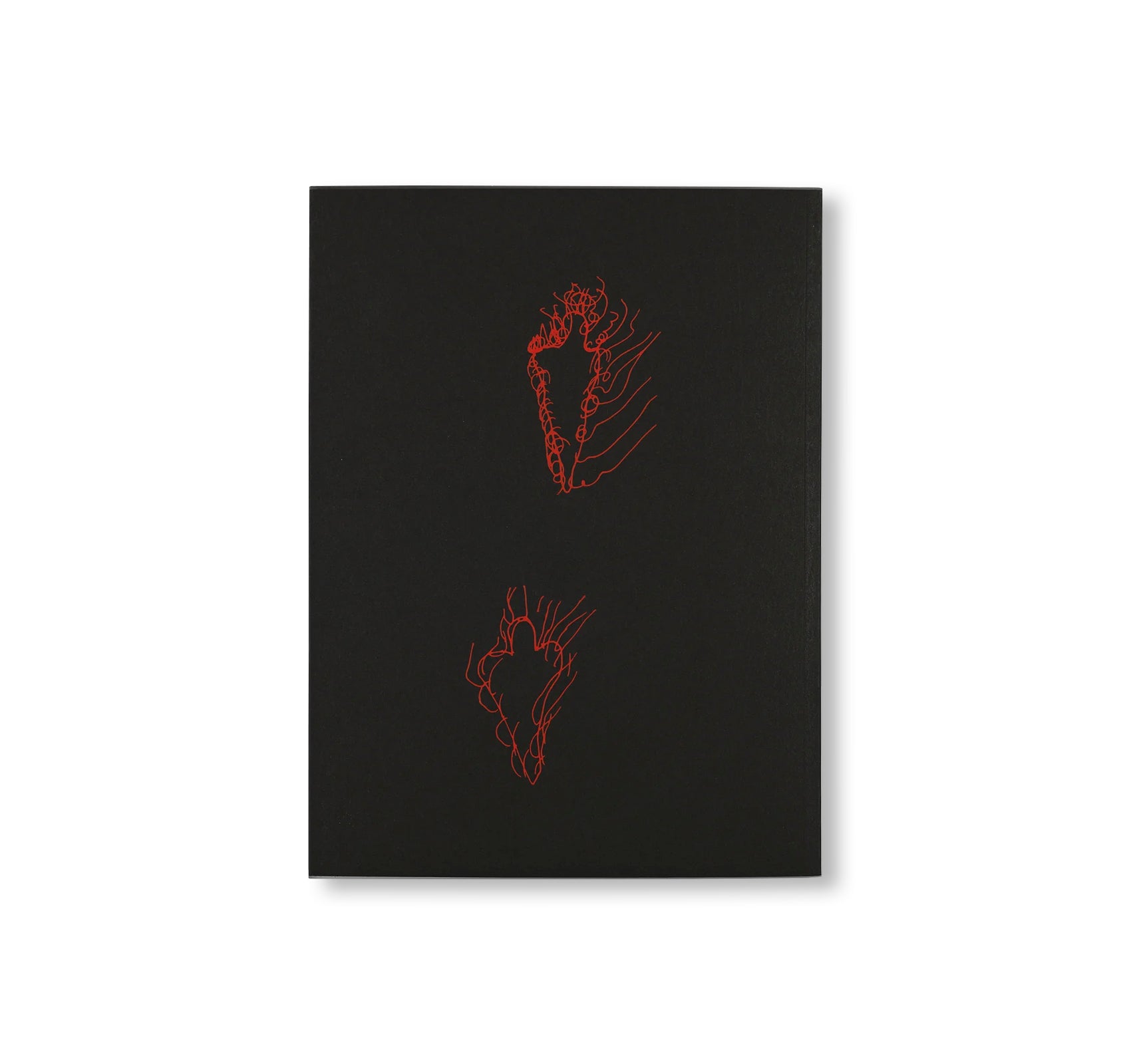 ANA MENDIETA: BACK TO THE SOURCE by Ana Mendieta