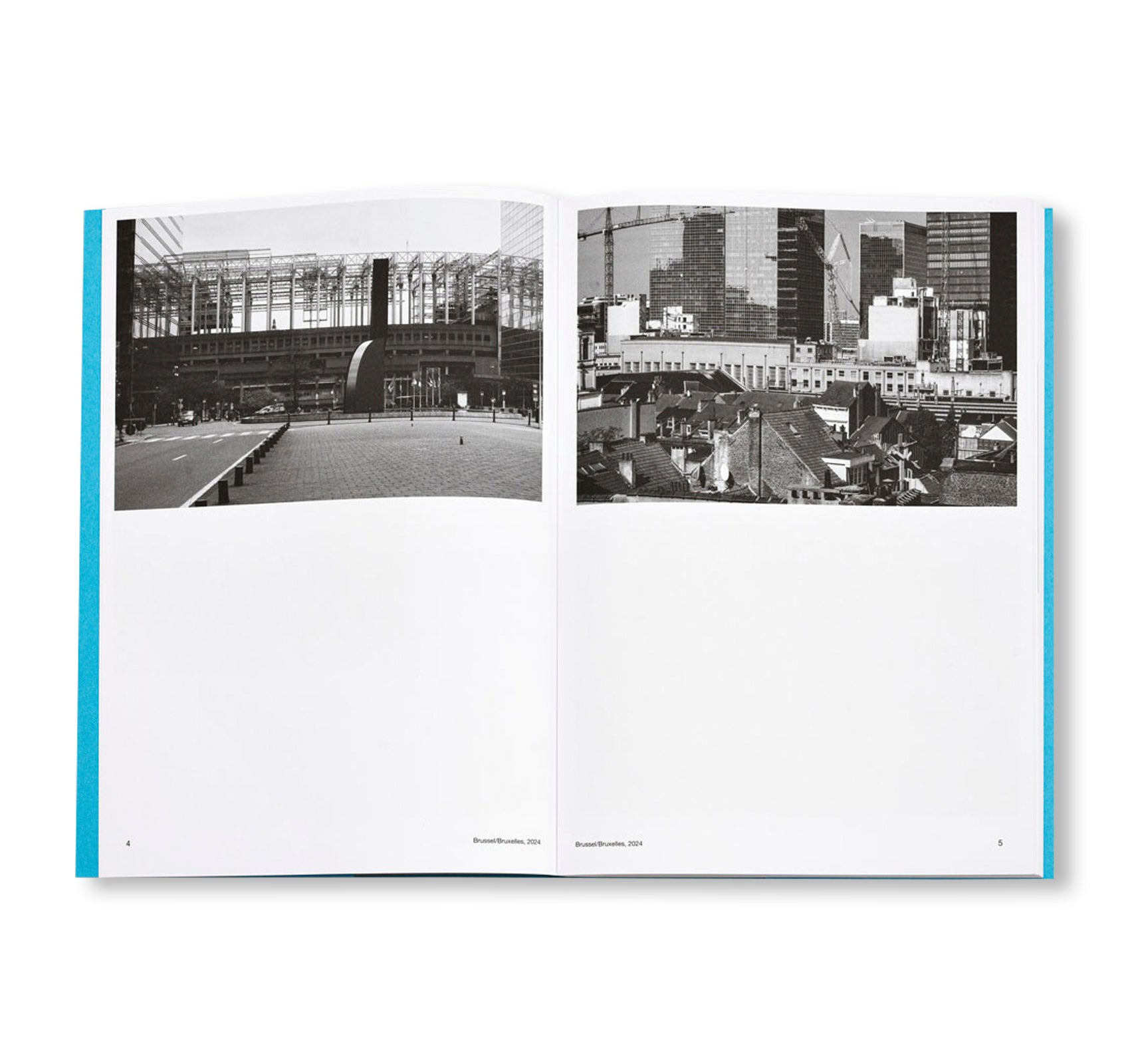 AUTOFICTIONS IN STONE by Aglaia Konrad