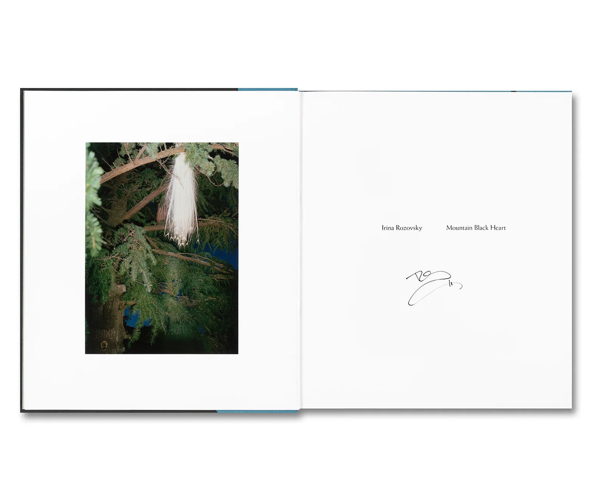 MOUNTAIN BLACK HEART by Irina Rozovsky [SIGNED]