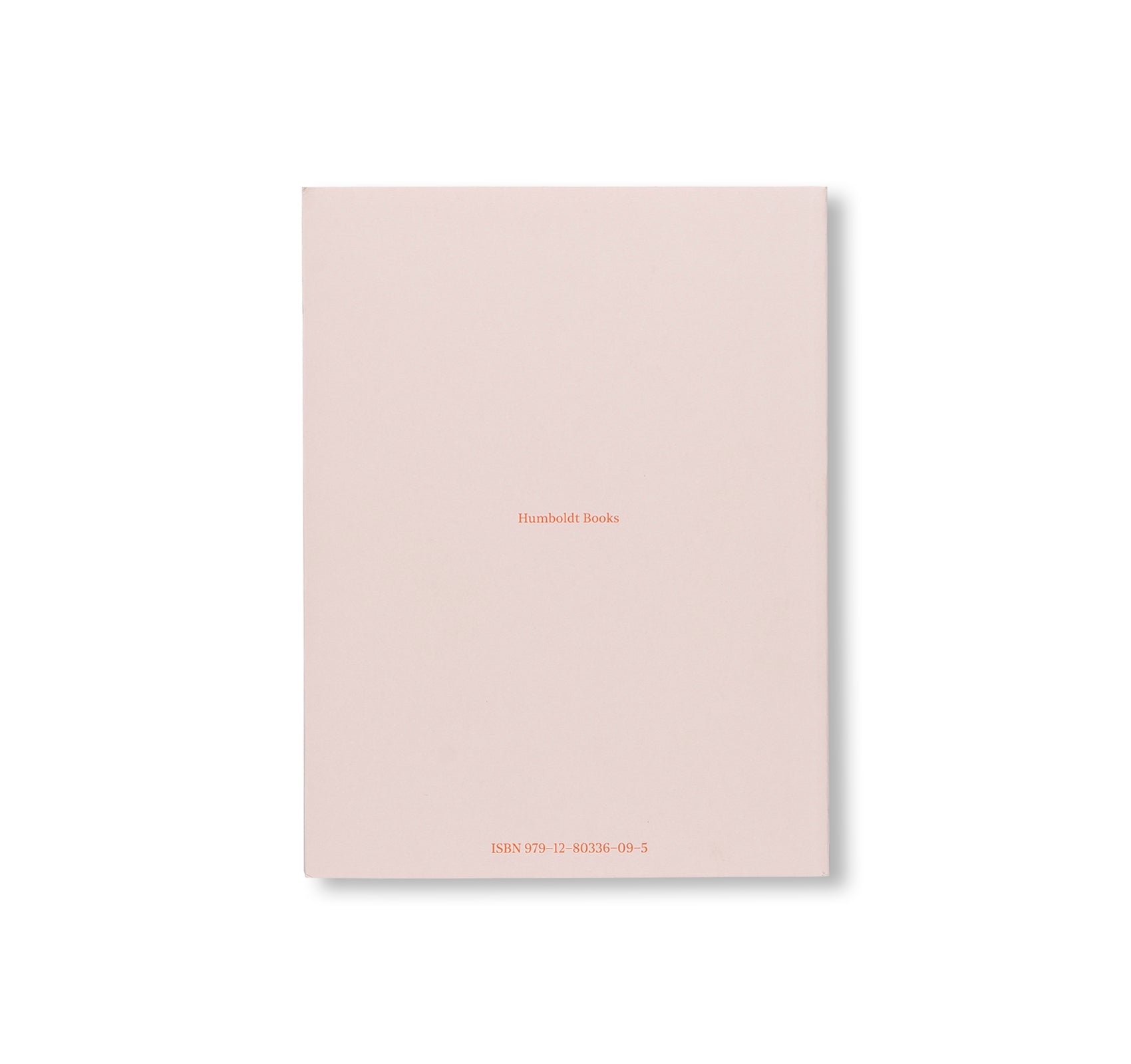 ITALIAN HOURS by Paul Thek