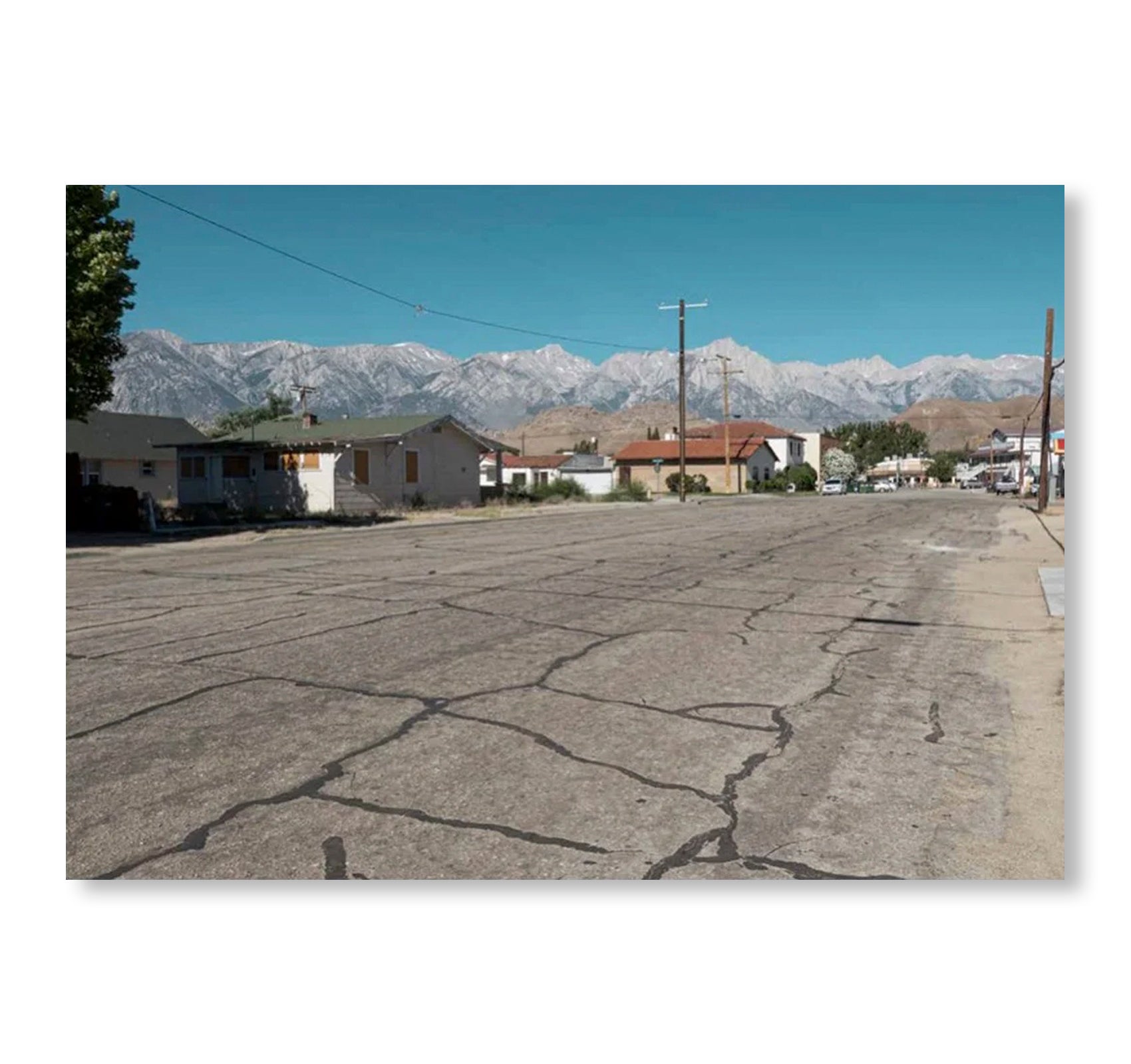 ONE PICTURE BOOK TWO #52: LONE PINE by Toshio Shibata