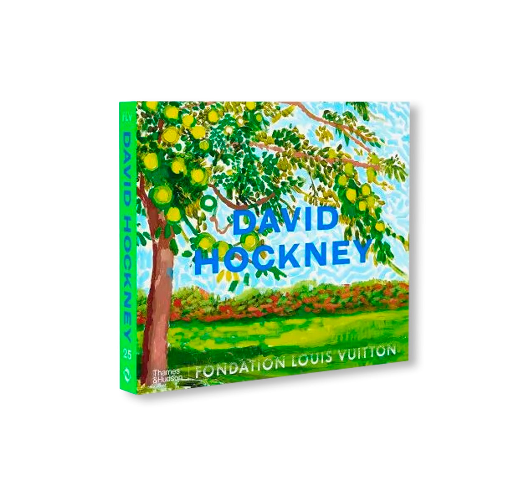 DAVID HOCKNEY by David Hockney (FONDATION LOUIS VUITTON)