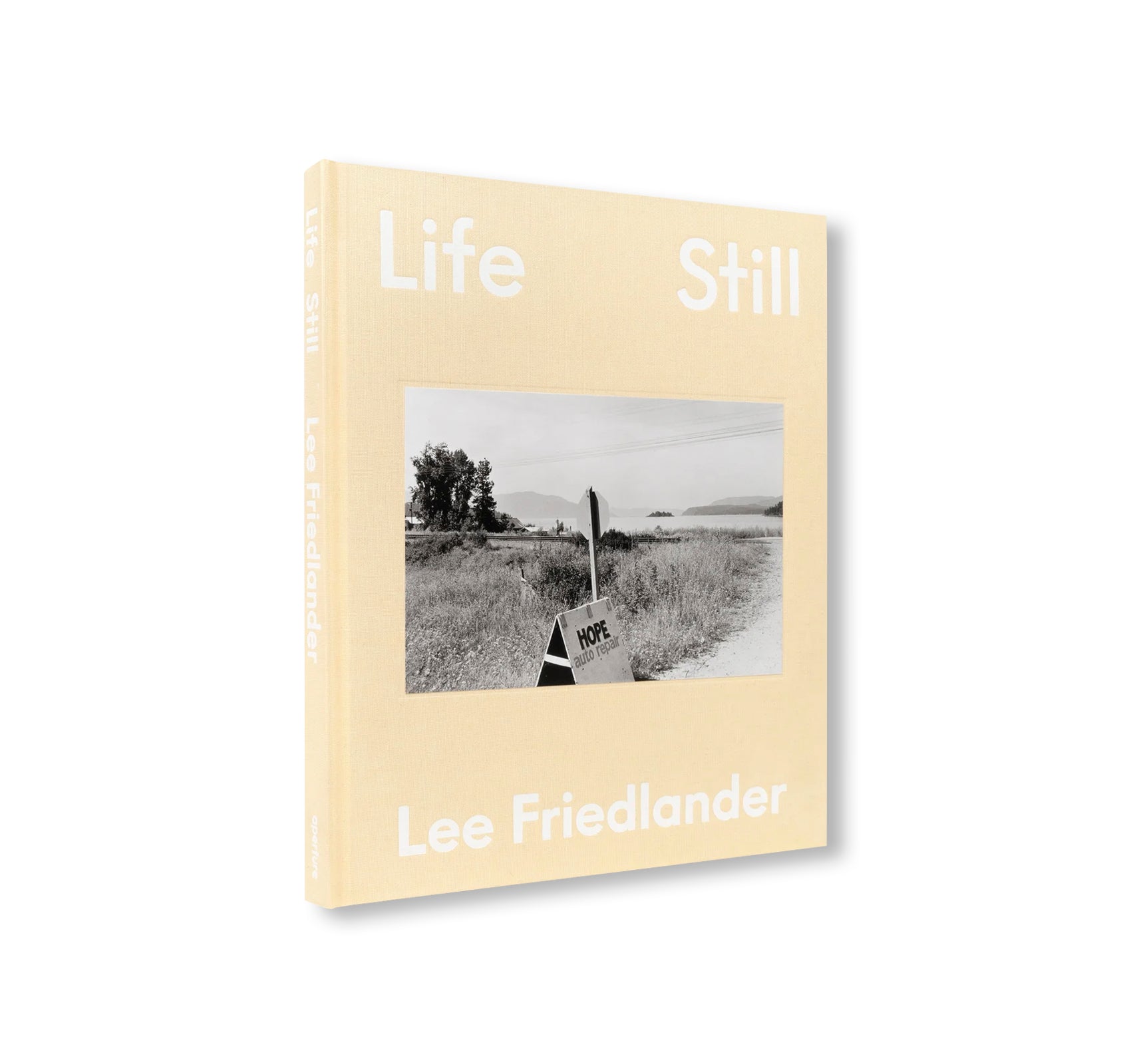 LIFE STILL by Lee Friedlander