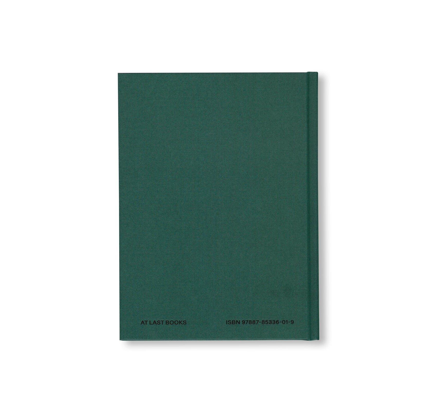 ANDERS BRINCH THE INNER LANDSCAPE by Lars Schwander
