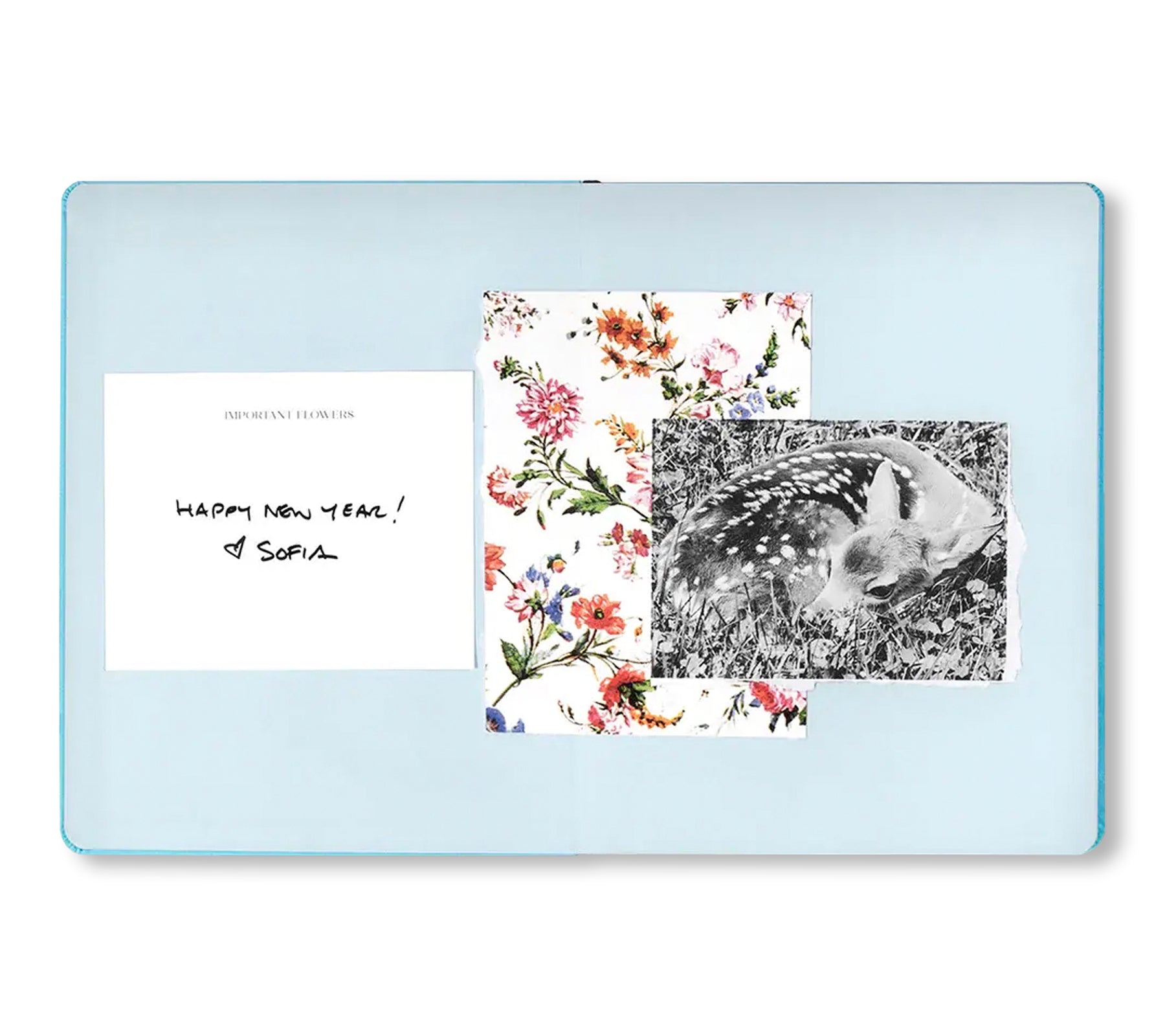 THE IMPORTANT FLOWERS PLANNER 2026 by Sofia Coppola