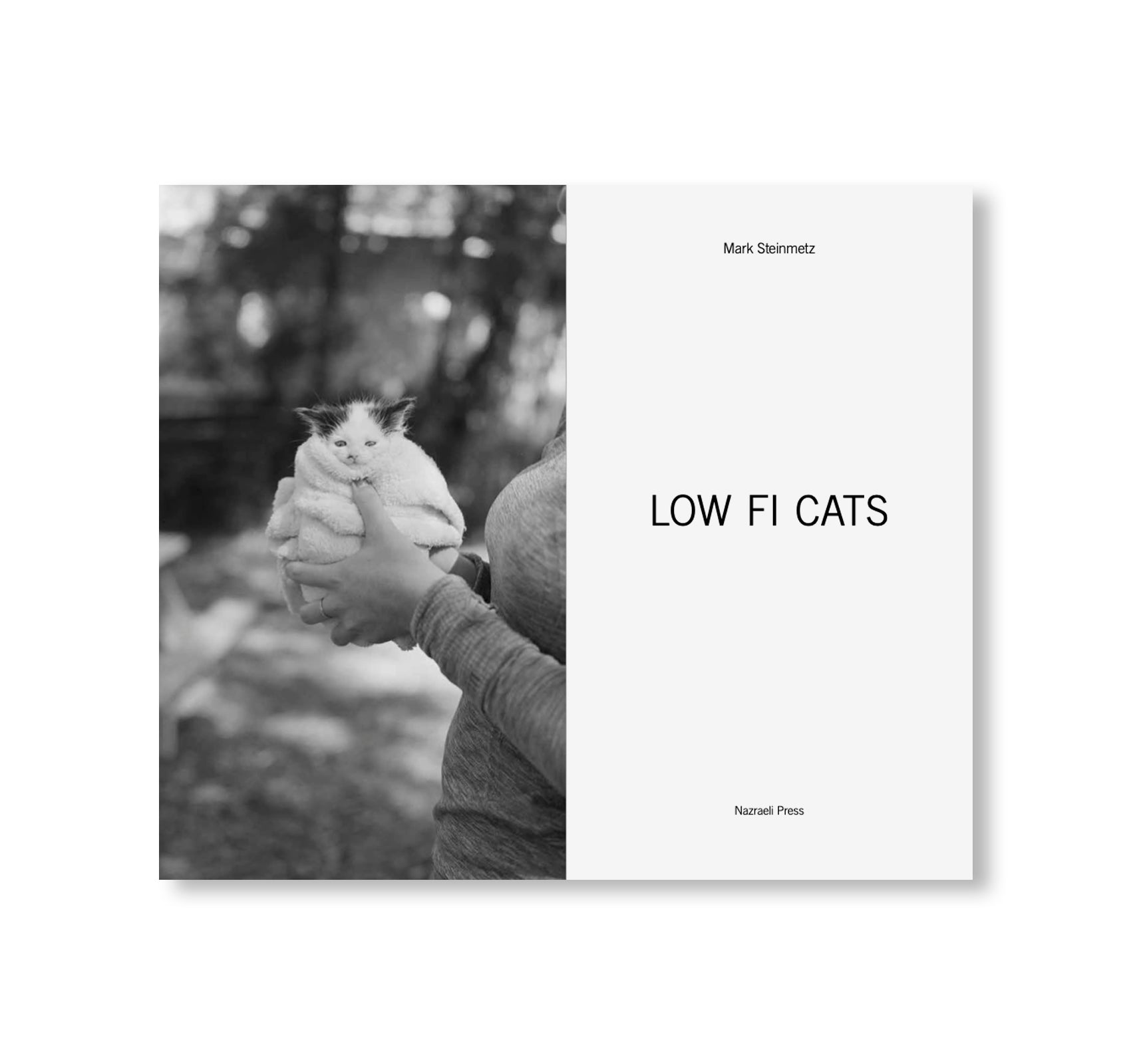 LOW FI CATS by Mark Steinmetz