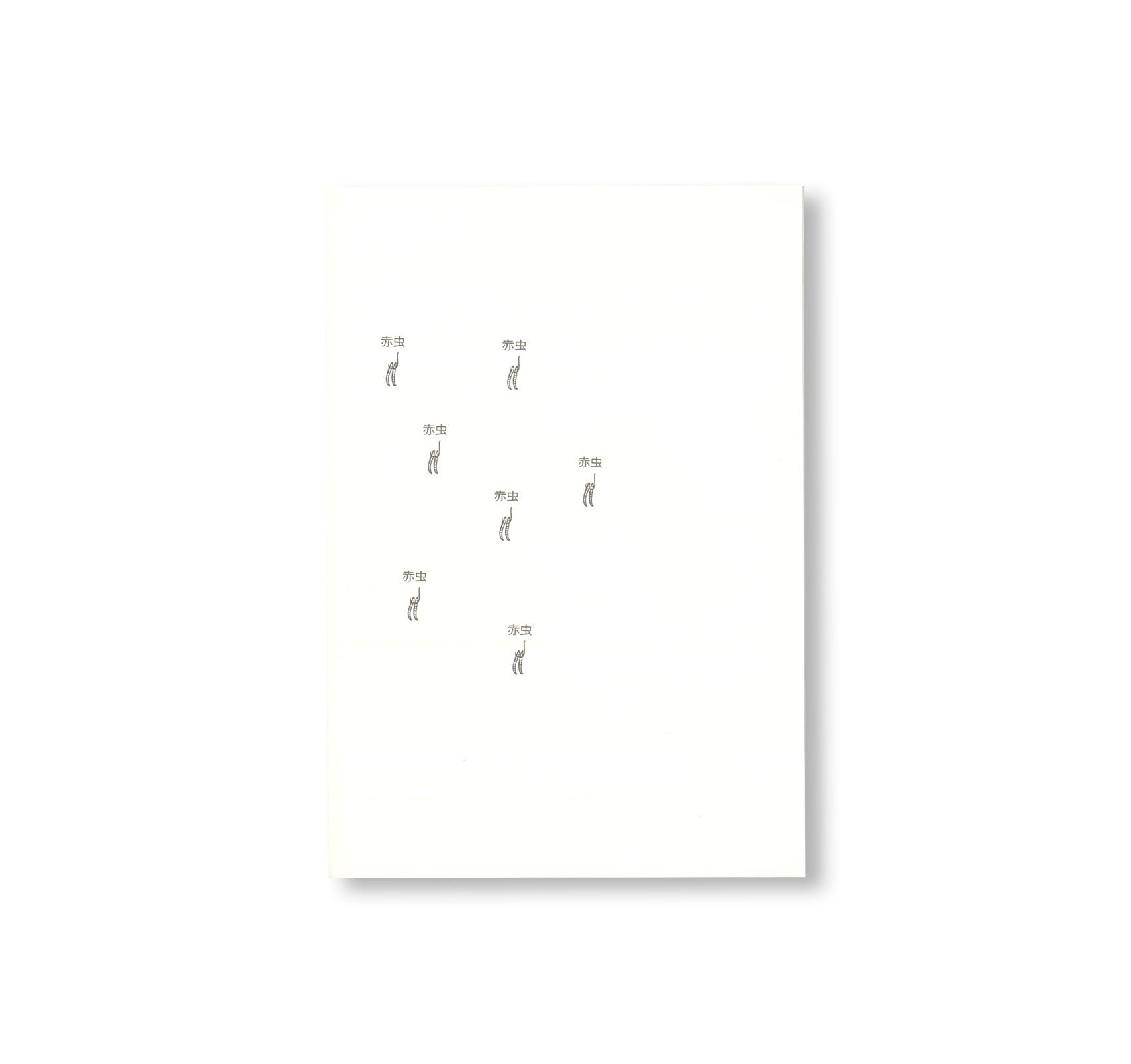 PASSAGE COSMO TO FISHY TRAVELS / パッセージ・コスモから釣りの旅へ by Rirkrit Tiravanija
