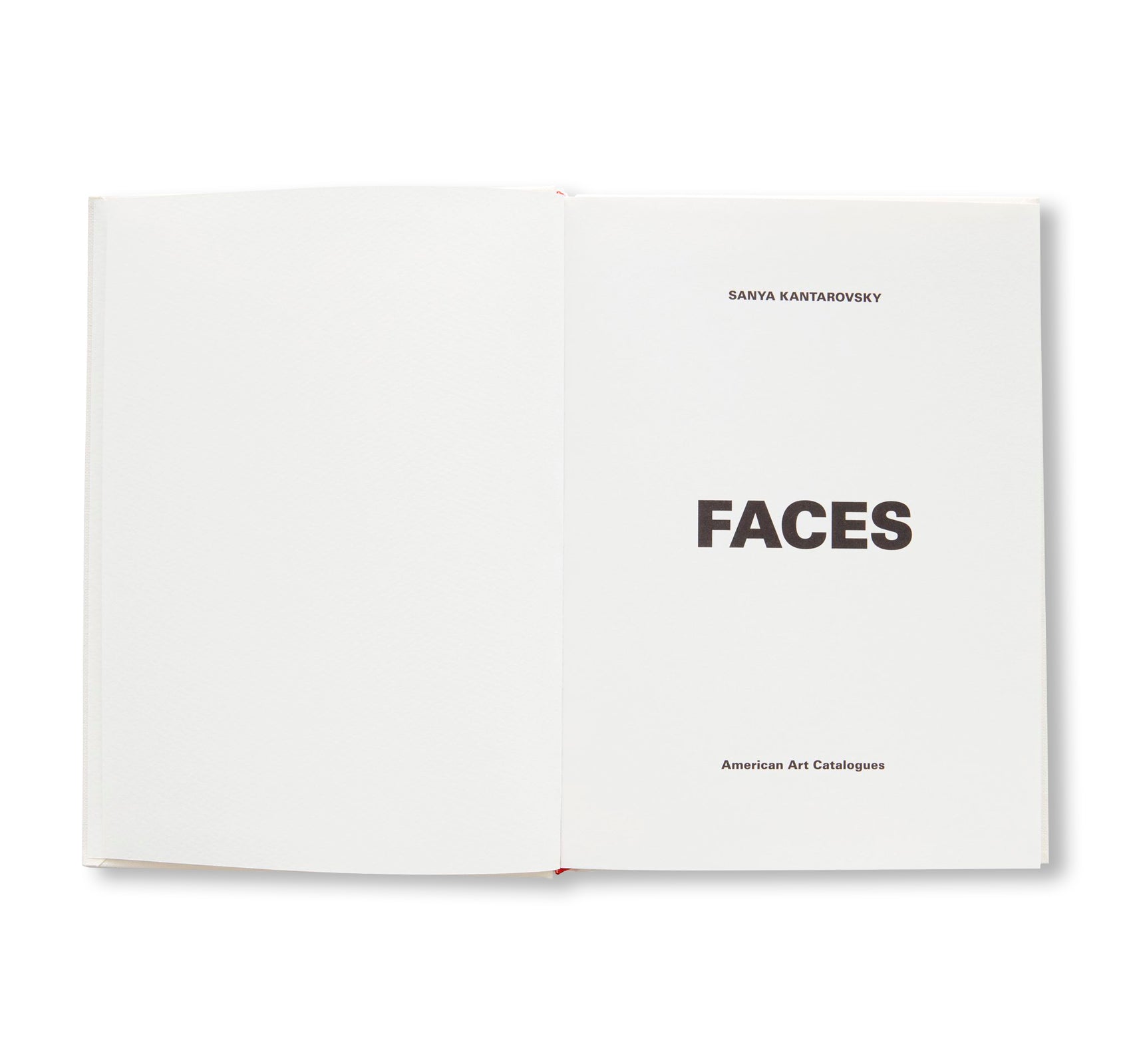 FACES by Sanya Kantarovsky