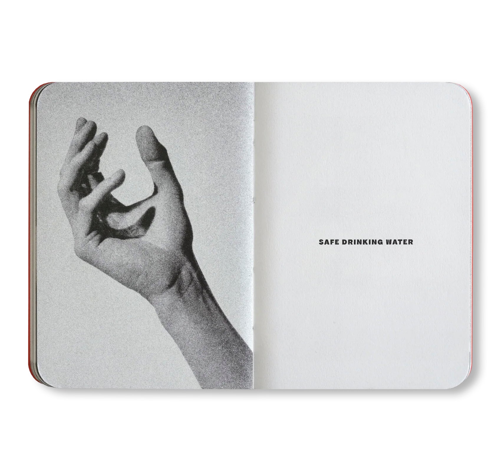 THE SMALL BOOK OF ENDANGERED GESTURES by Bruce Eesly