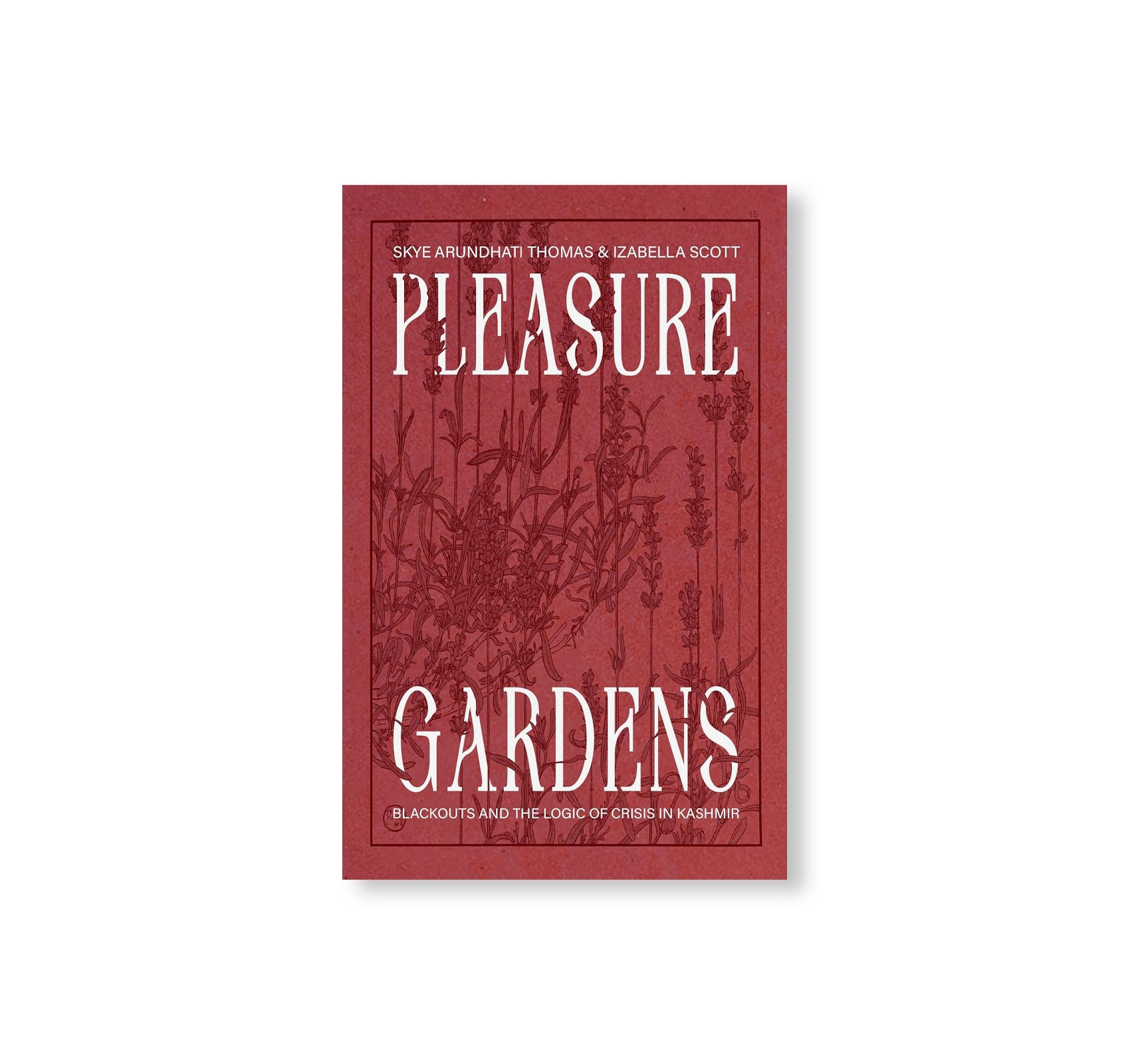 PLEASURE GARDENS: BLACKOUTS AND THE LOGIC OF CRISIS IN KASHMIR by Skye Arundhati Thomas & Izabella Scott