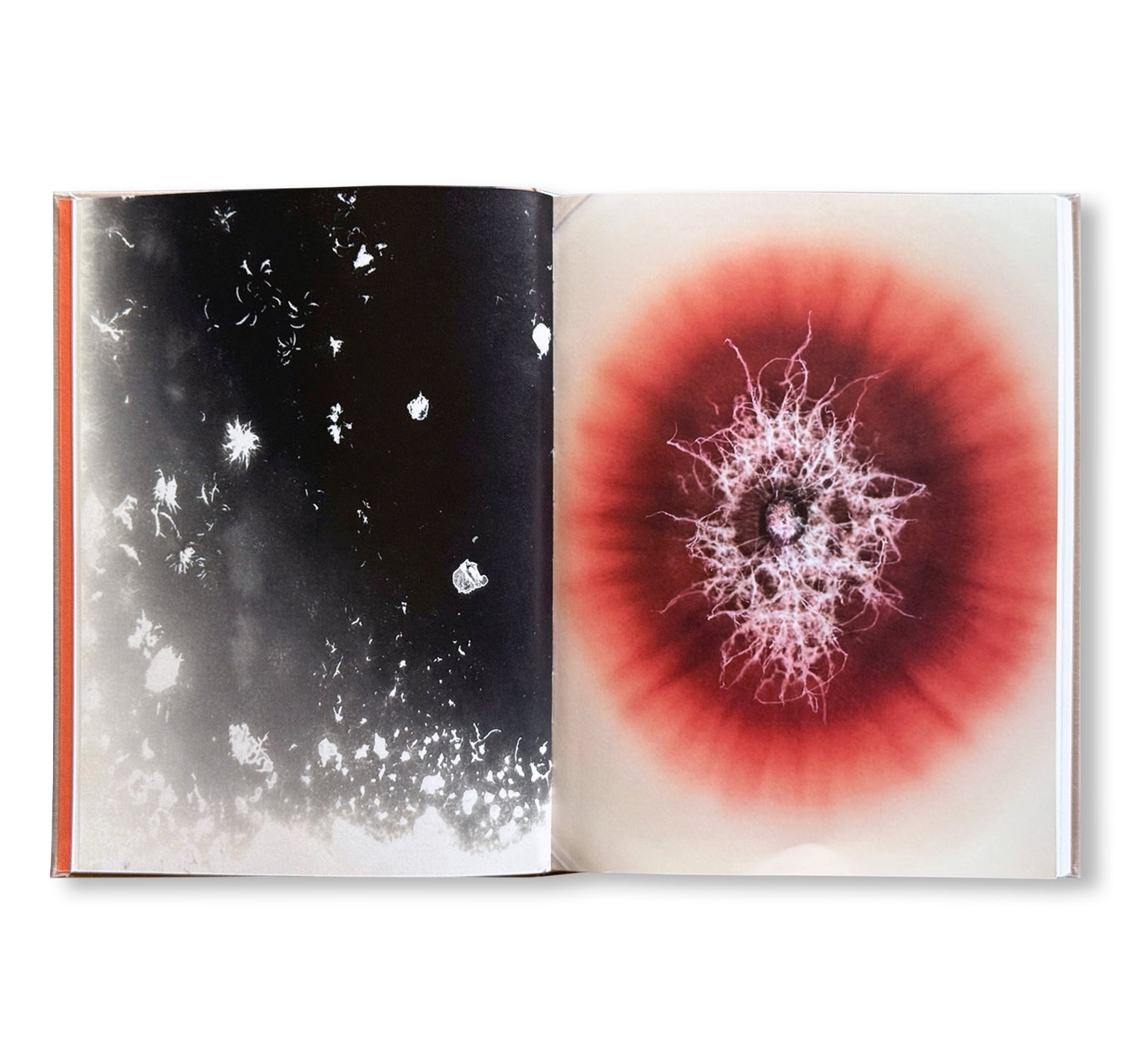 THE OUTER INNER WORLD by Nicolai Howalt