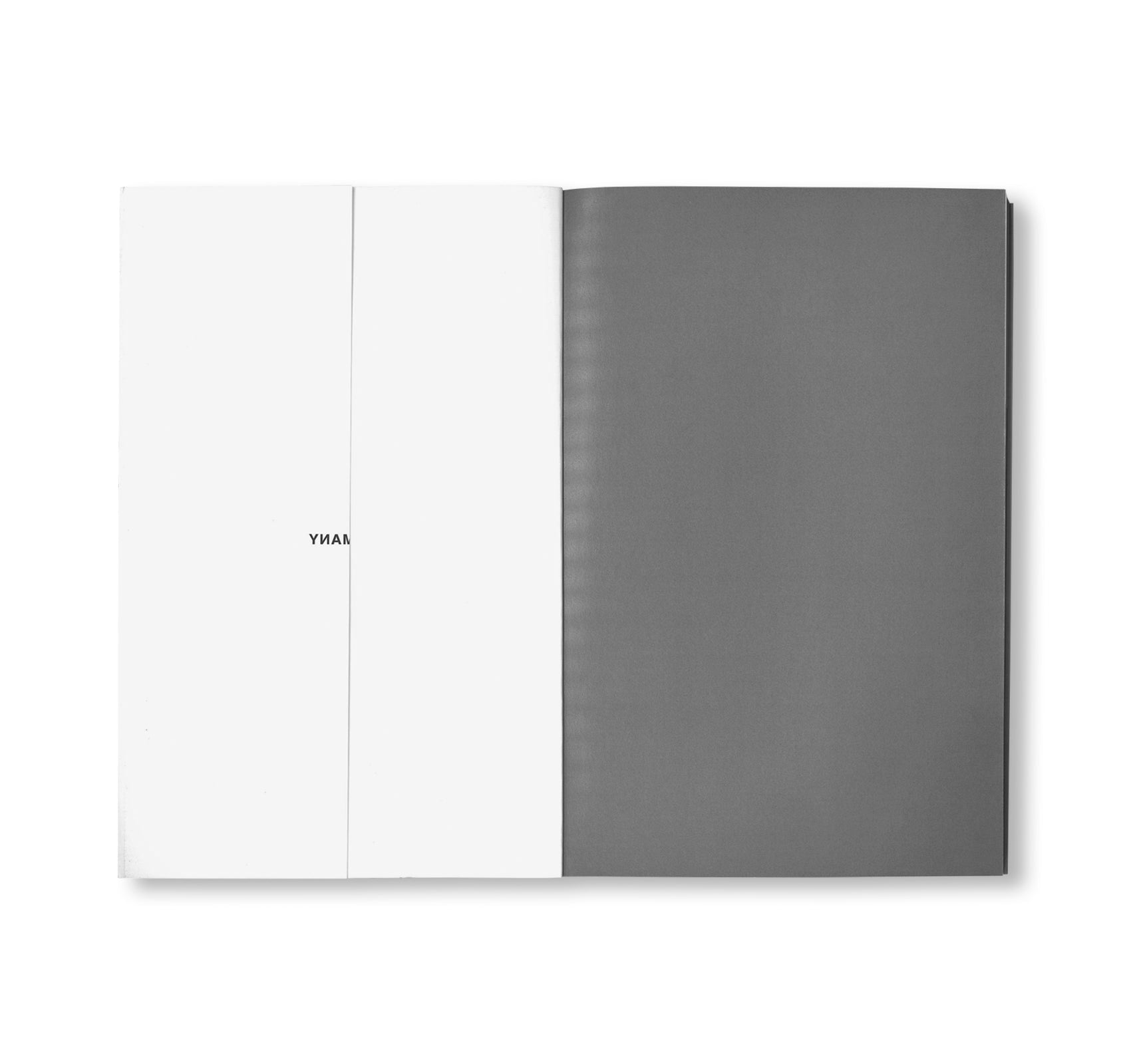 MANY by Peter Downsbrough