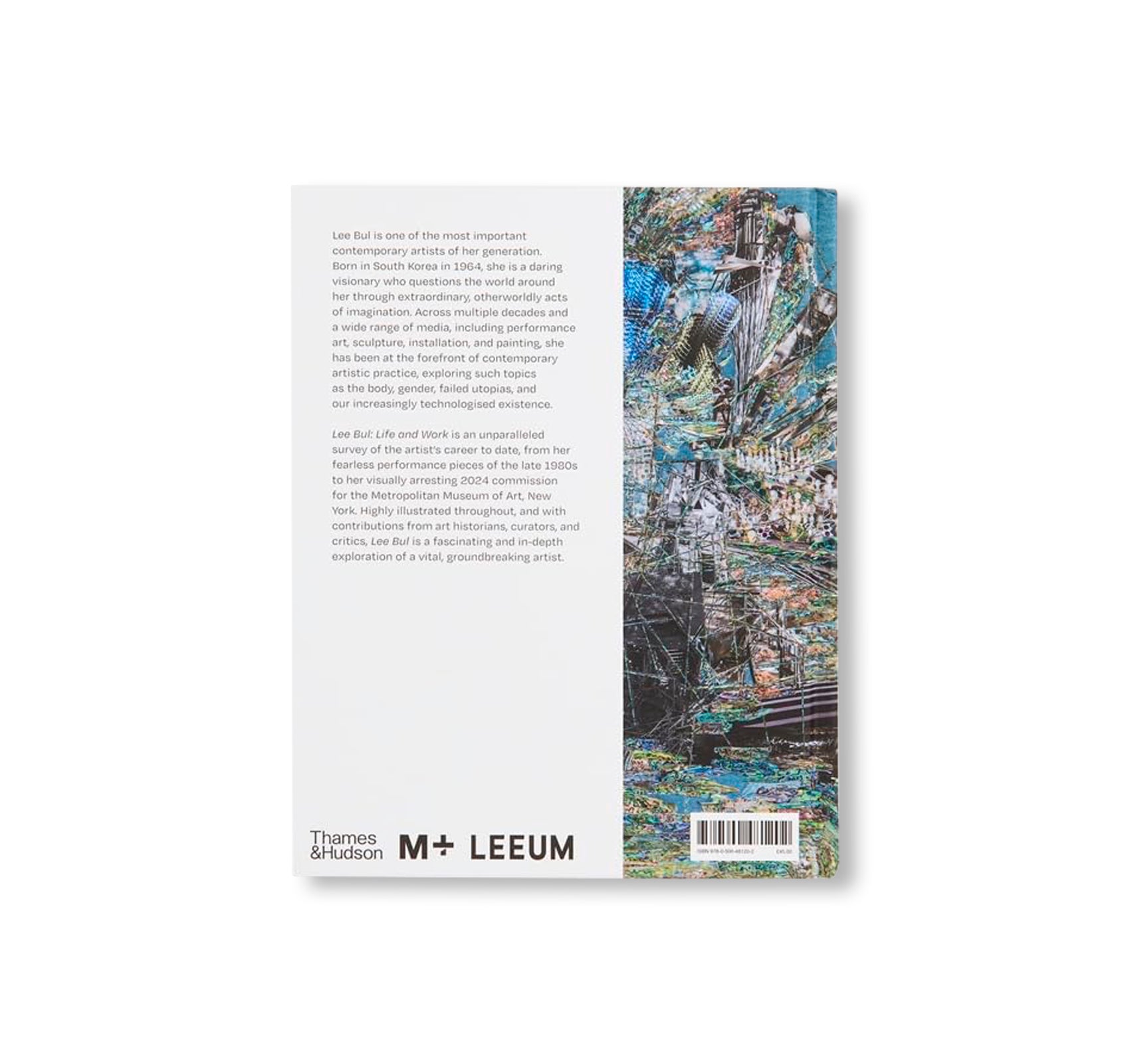 LEE BUL: LIFE AND WORK by Lee Bul