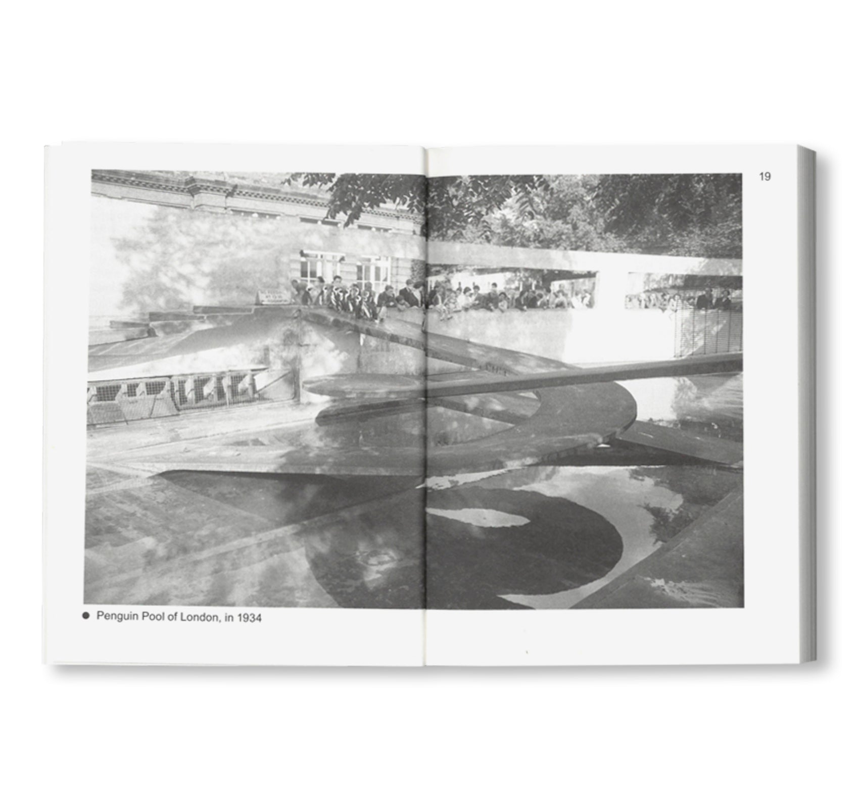 NOT A PENGUIN POOL: ECHOES OF MORE-THAN-HUMAN ENTANGLEMENTS / Bauhaus Paperback 28 by Stiftung Bauhaus Dessau