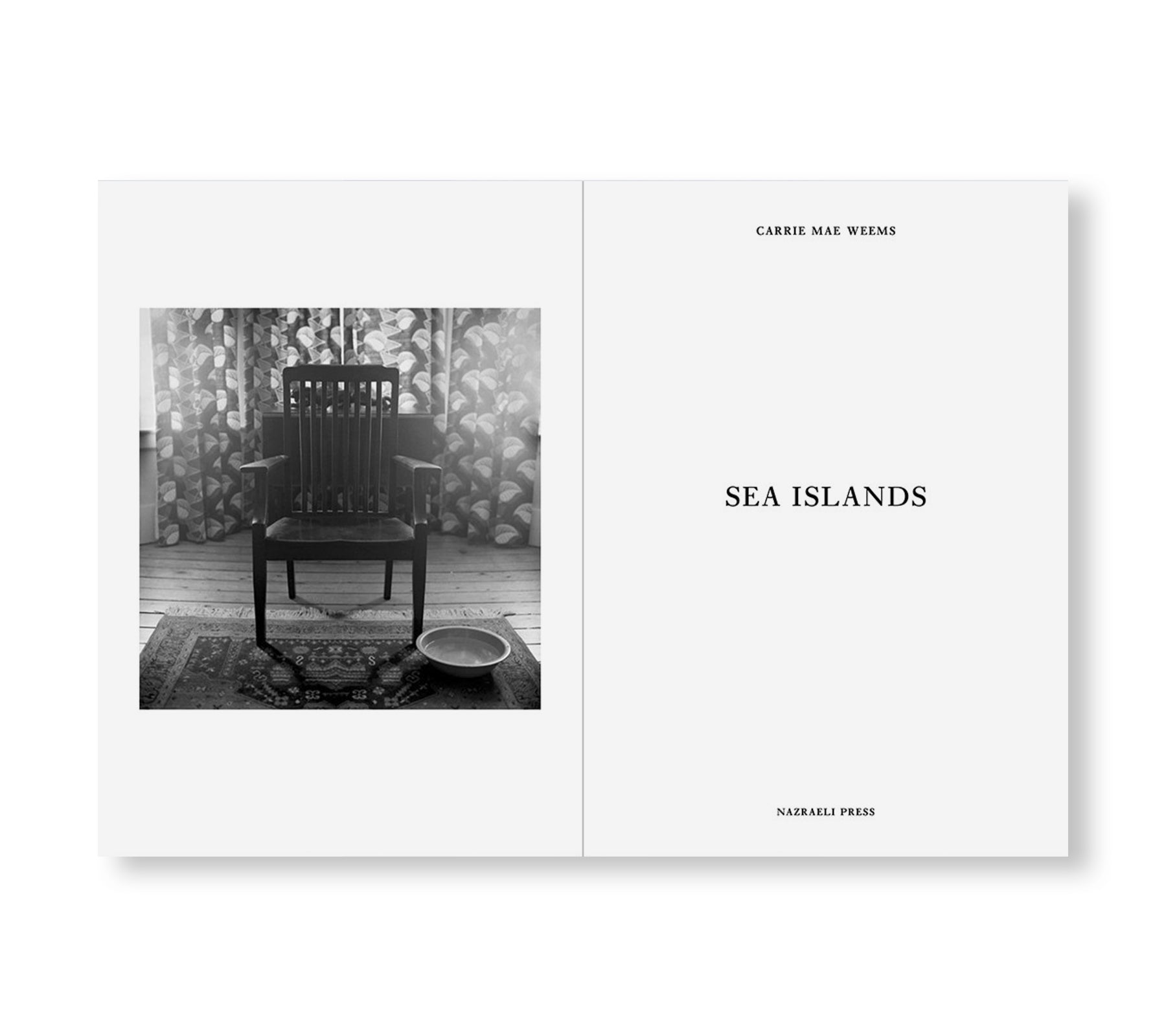 ONE PICTURE BOOK TWO #40: SEA ISLANDS by Carrie Mae Weems