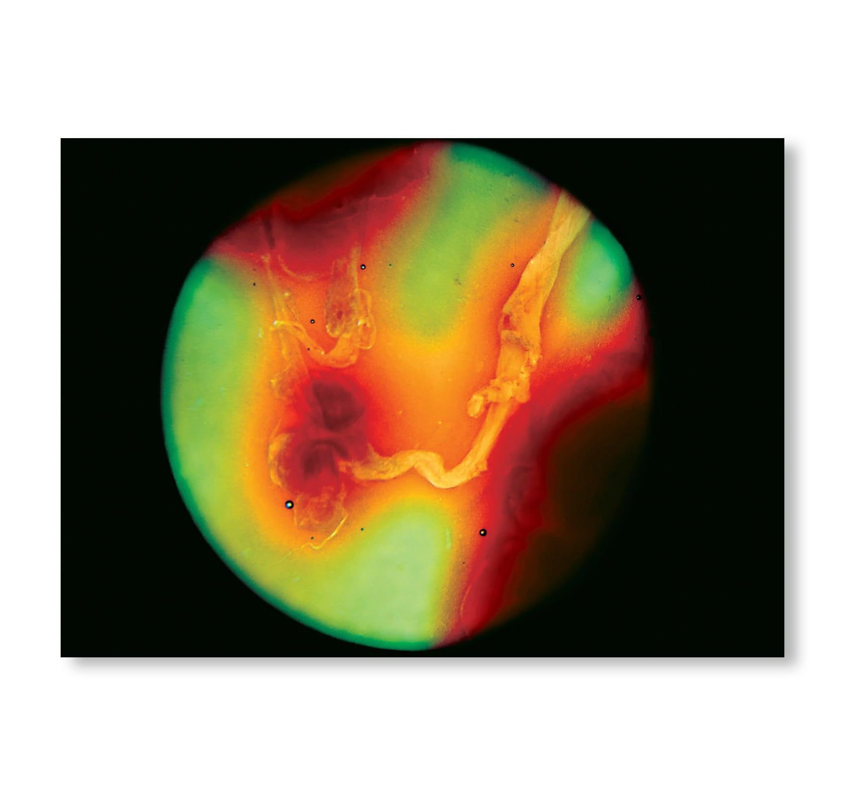 MY BLOODY HAND by Momo Okabe [SIGNED]